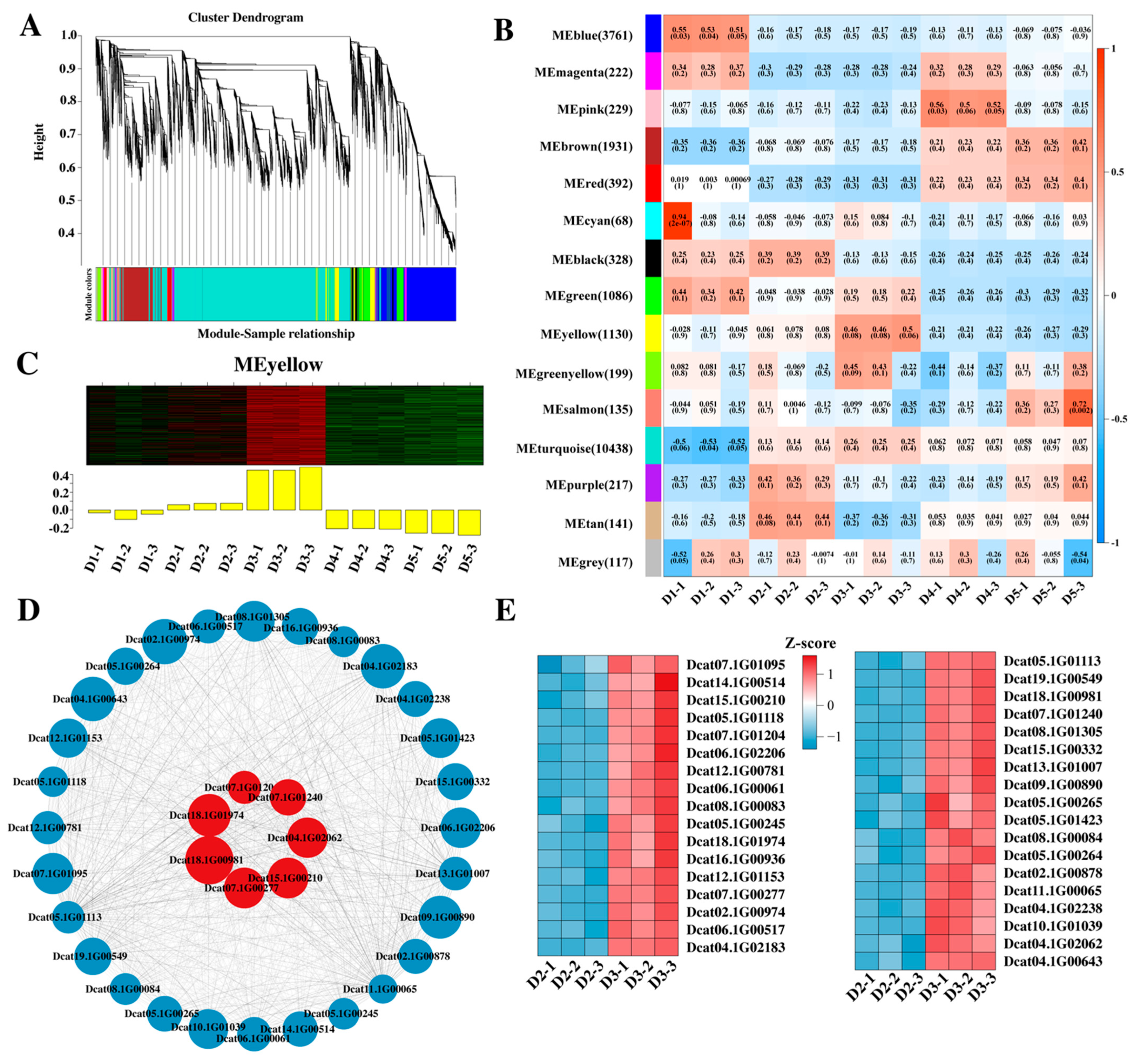 Plants 14 02668 g005