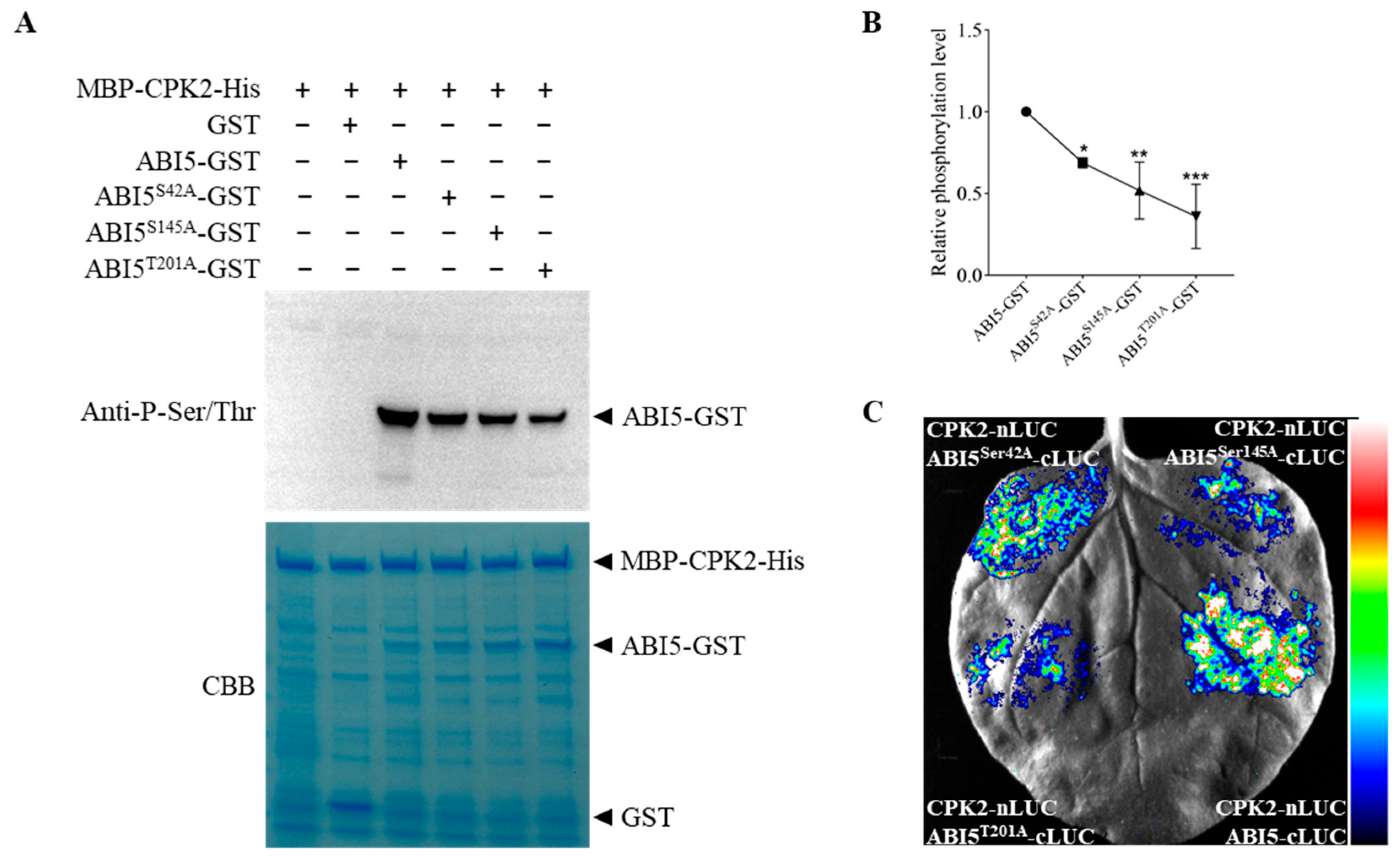 Plants 14 02671 g003