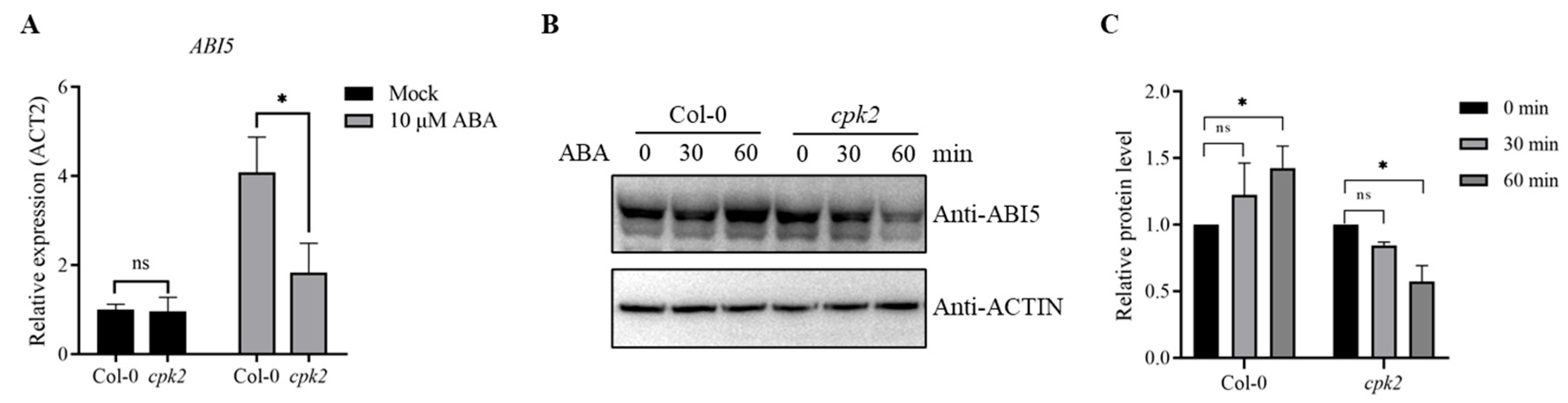 Plants 14 02671 g004