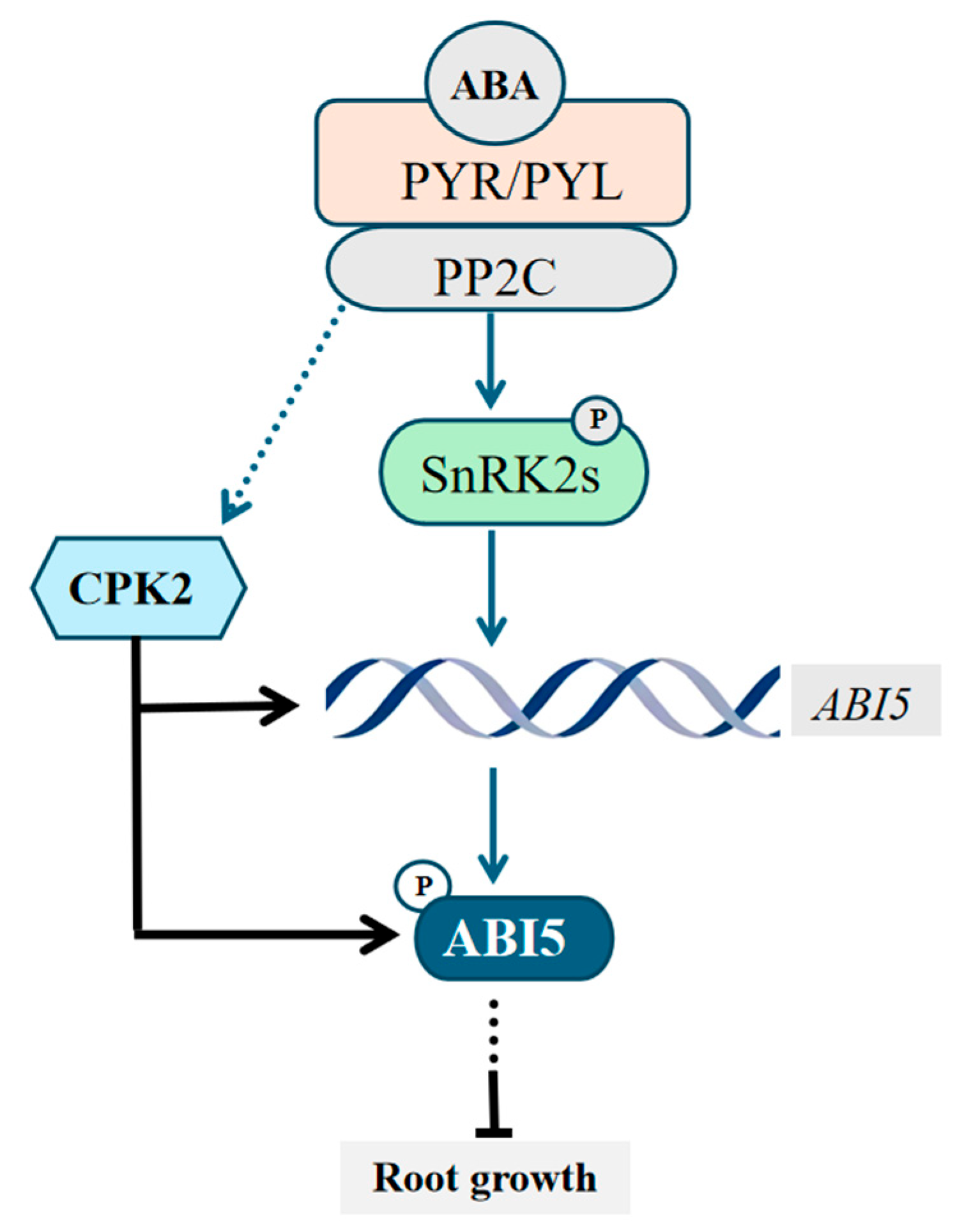 Plants 14 02671 g006