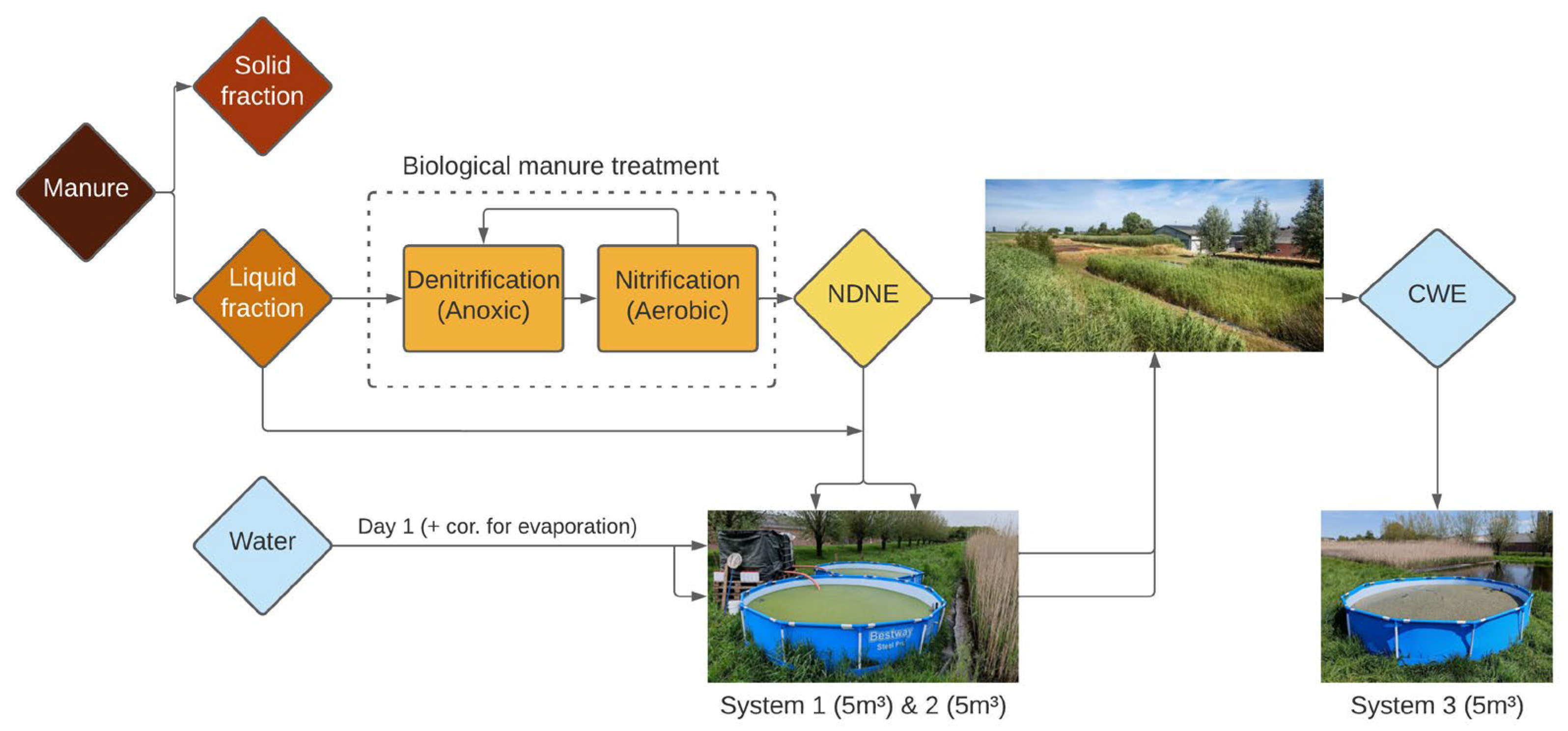 Plants 14 02680 g001