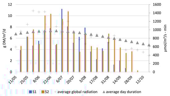 Plants 14 02680 g0a1