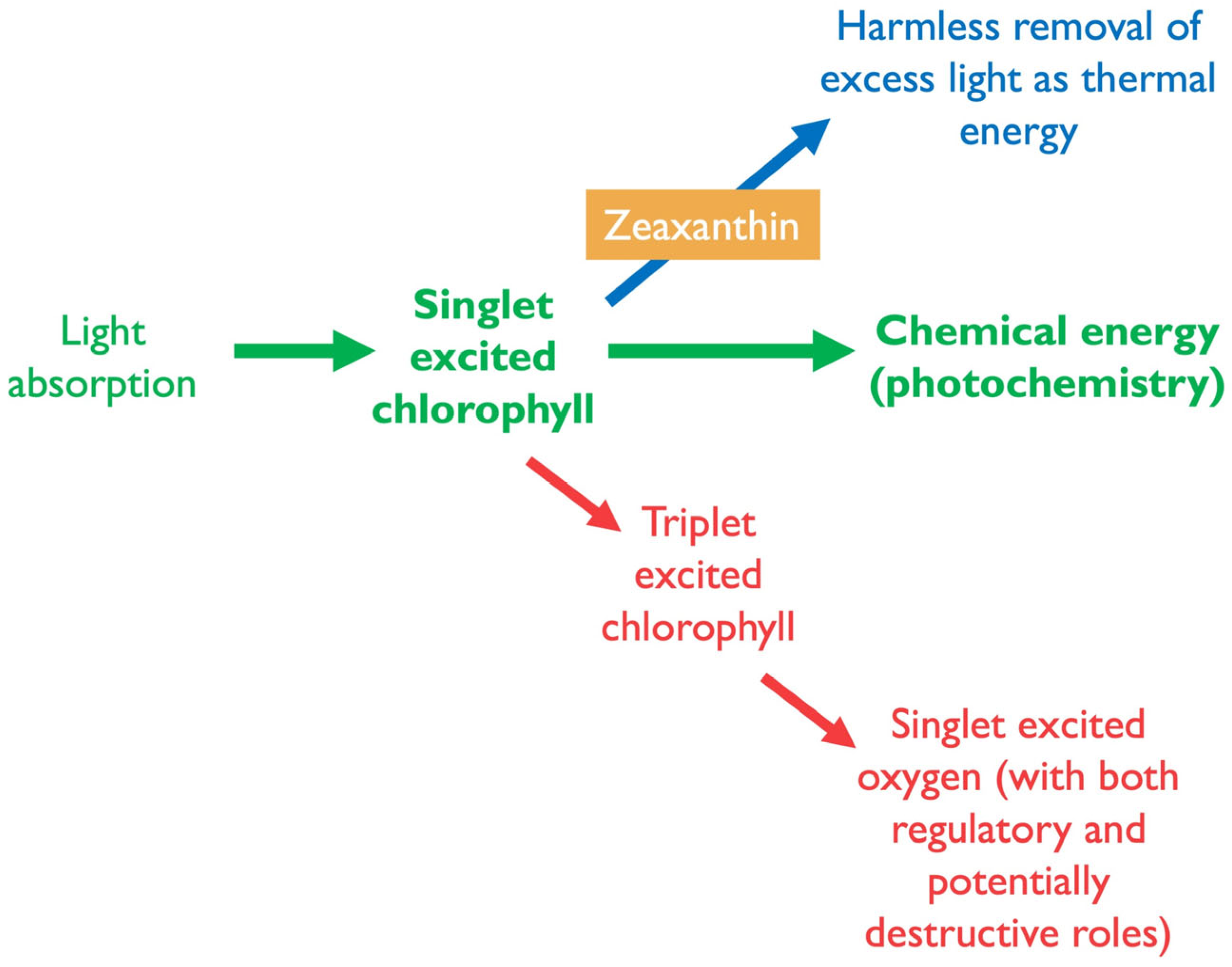 Plants 14 02703 g002