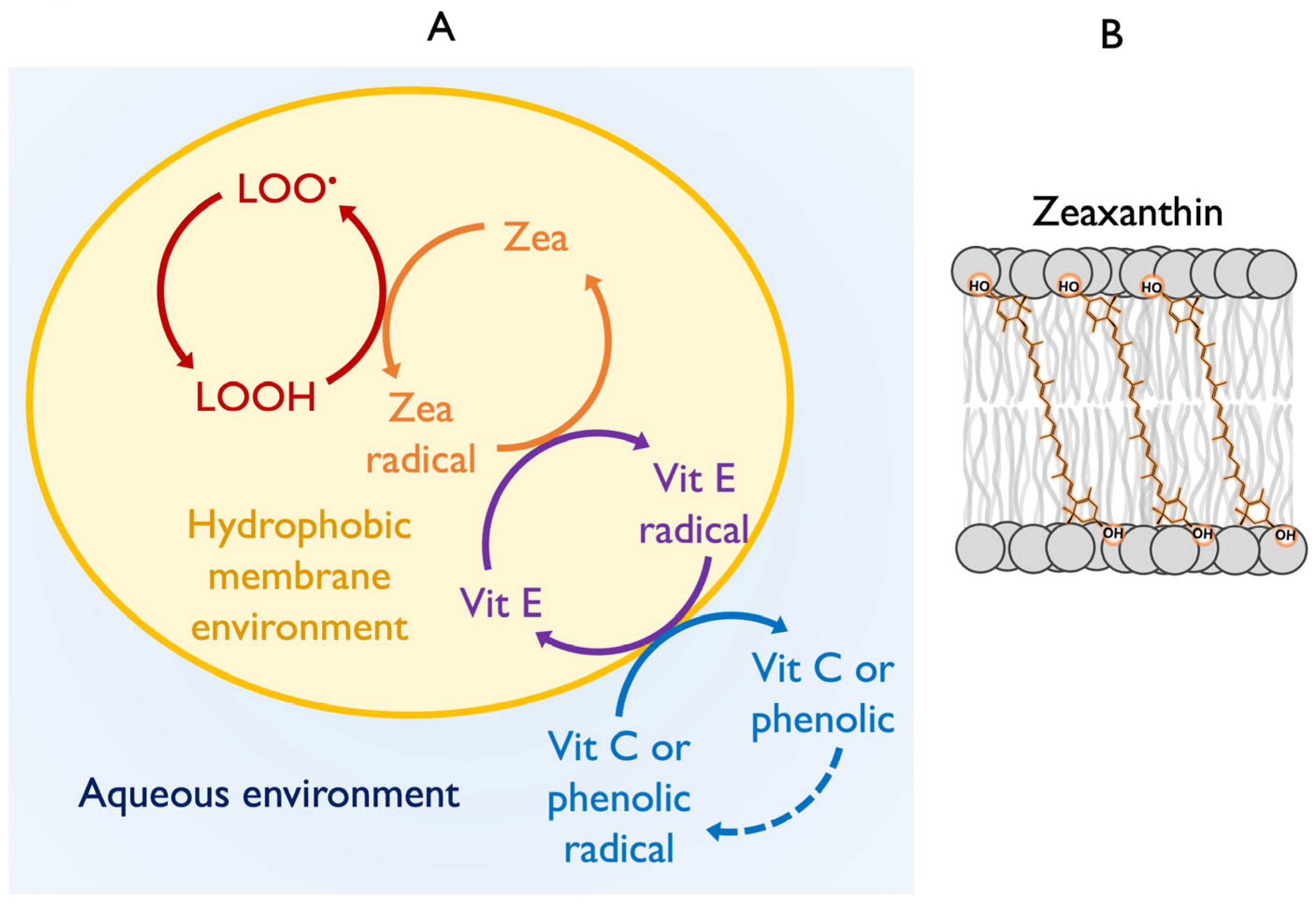 Plants 14 02703 g003