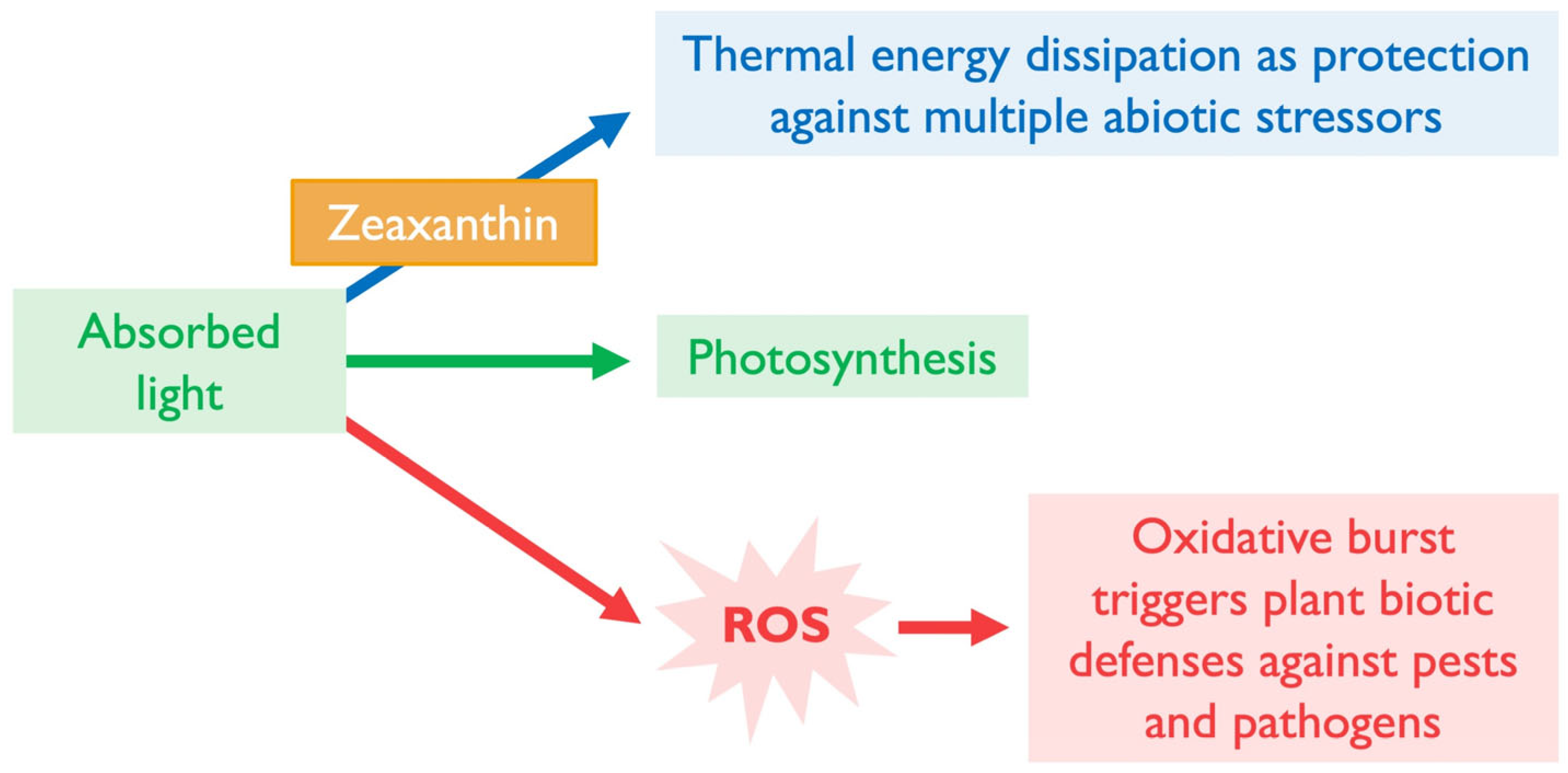 Plants 14 02703 g005