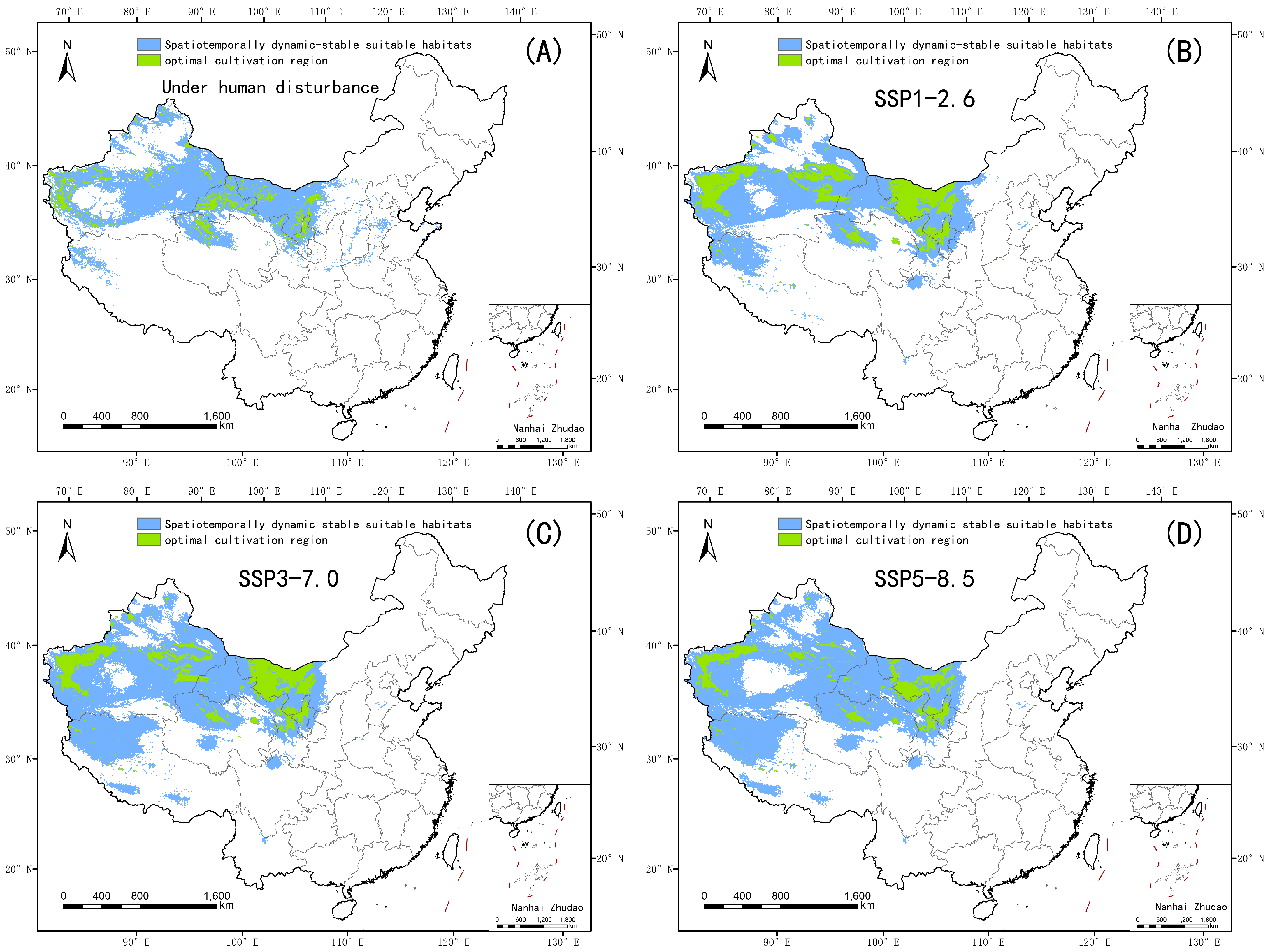 Plants 14 02706 g012