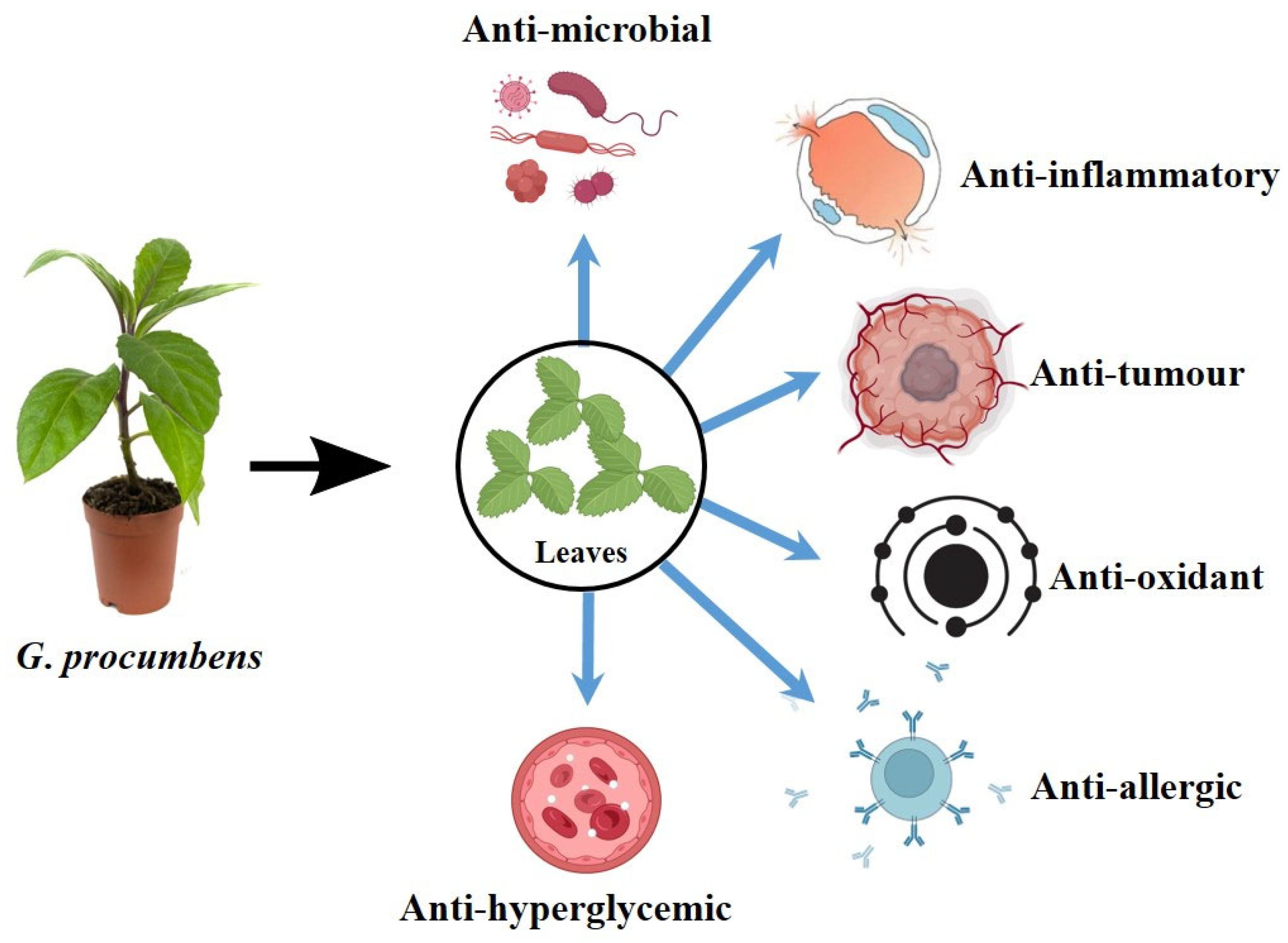Plants 14 02714 g001