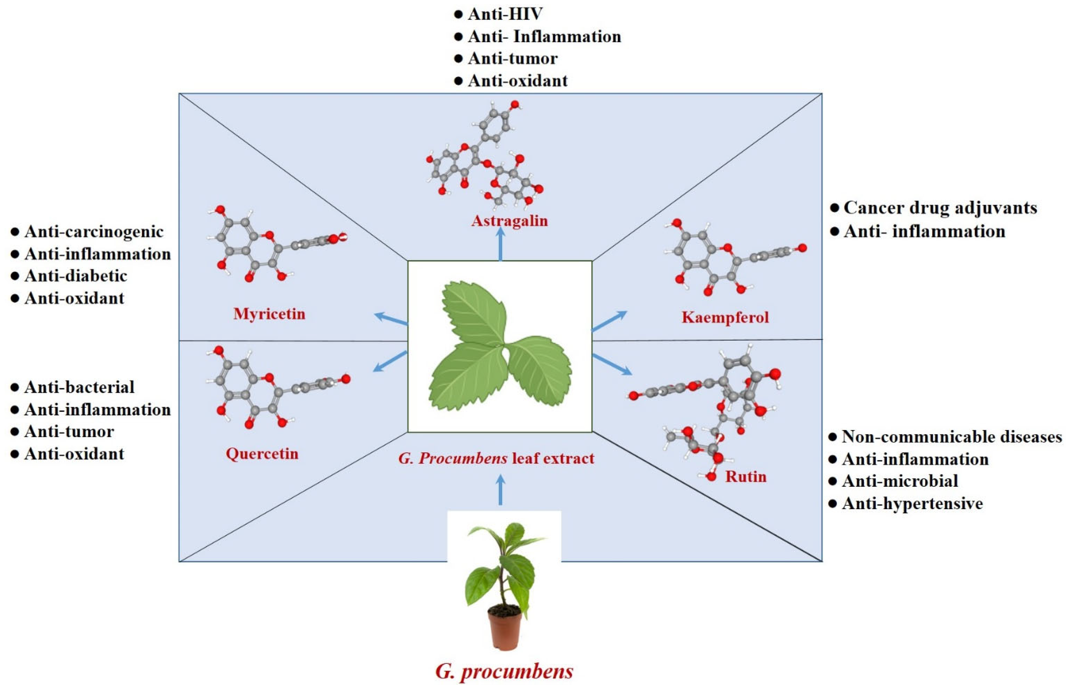 Plants 14 02714 g002