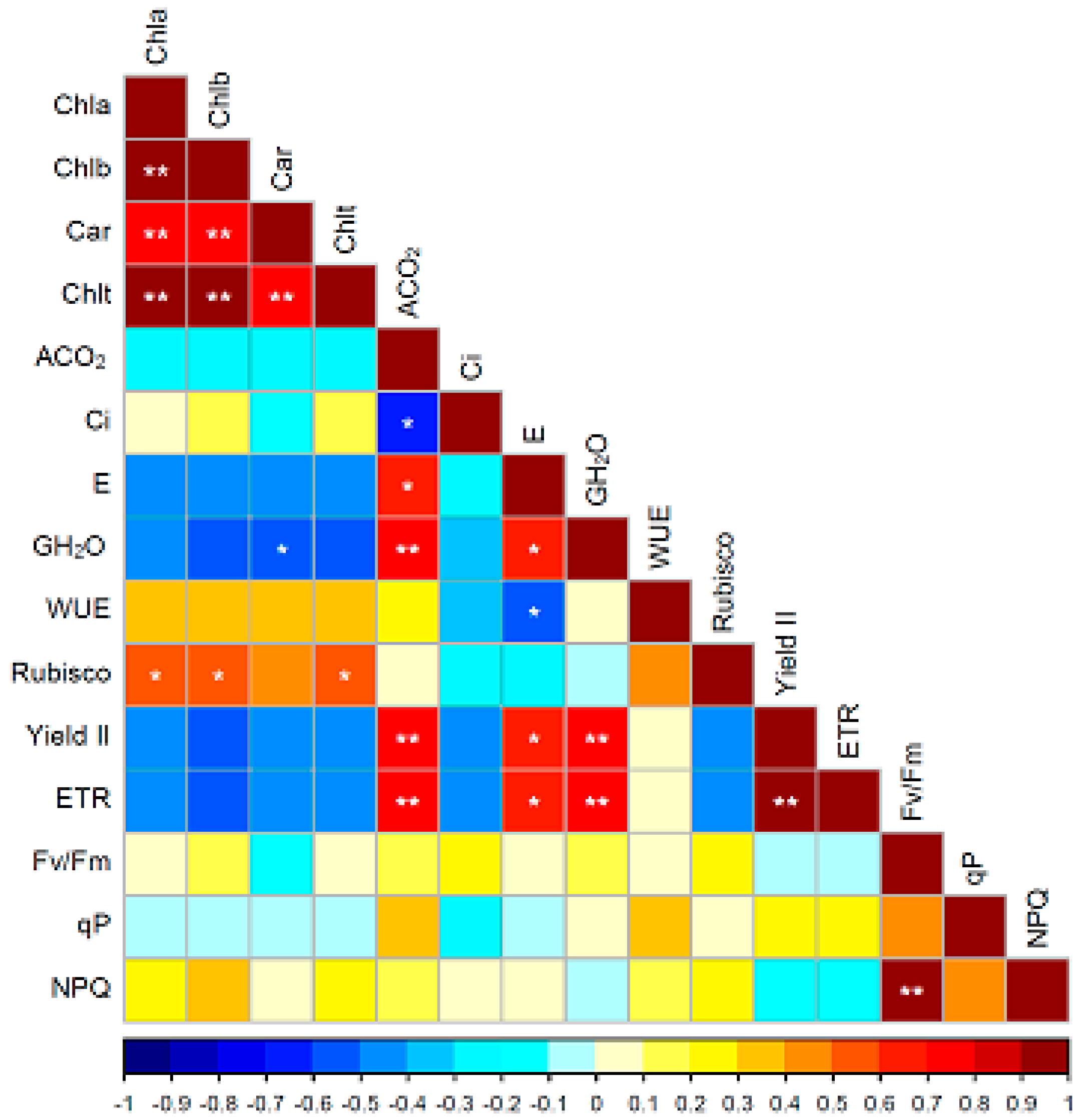 Plants 14 02718 g002