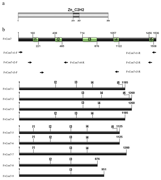 Plants 14 02725 g0a1a Plants 14 02725 g0a1a