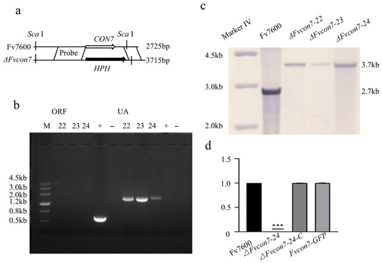 Plants 14 02725 g0a2