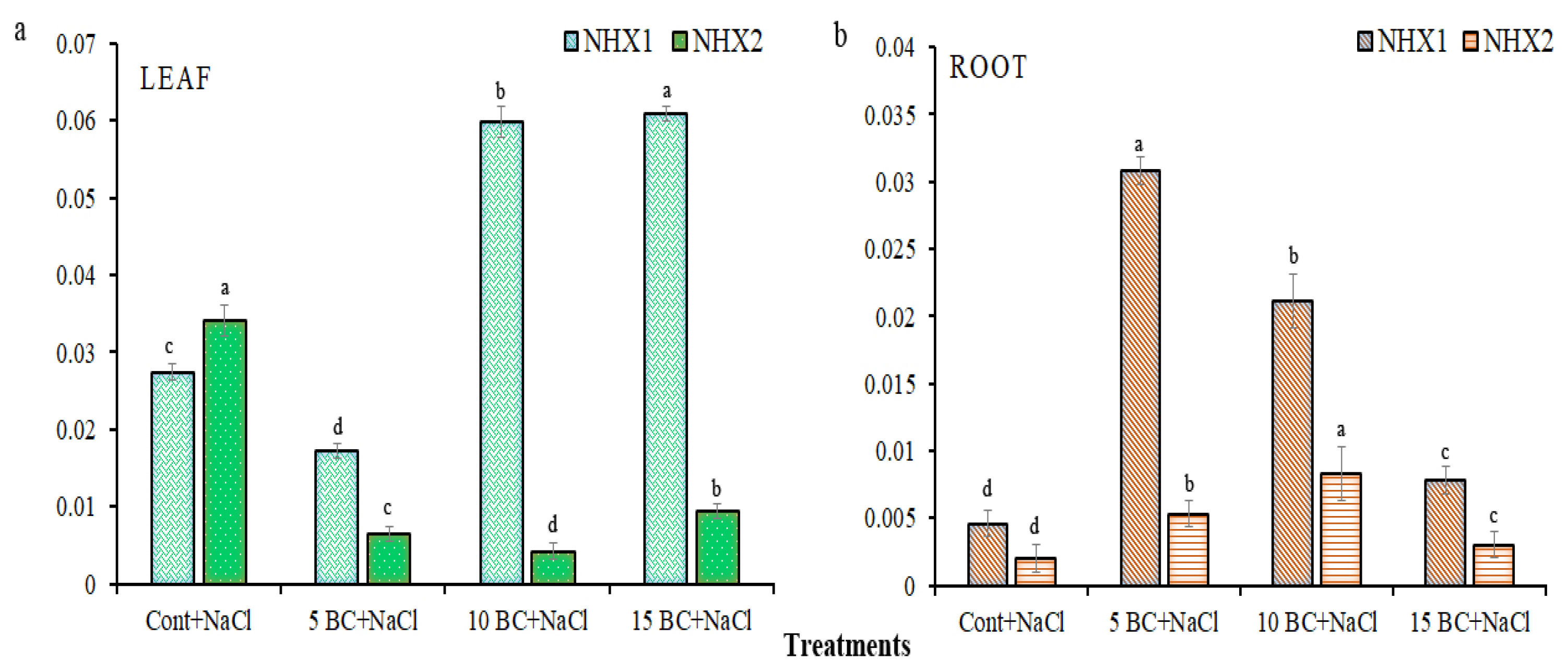 Plants 14 02743 g012 Plants 14 02743 g012