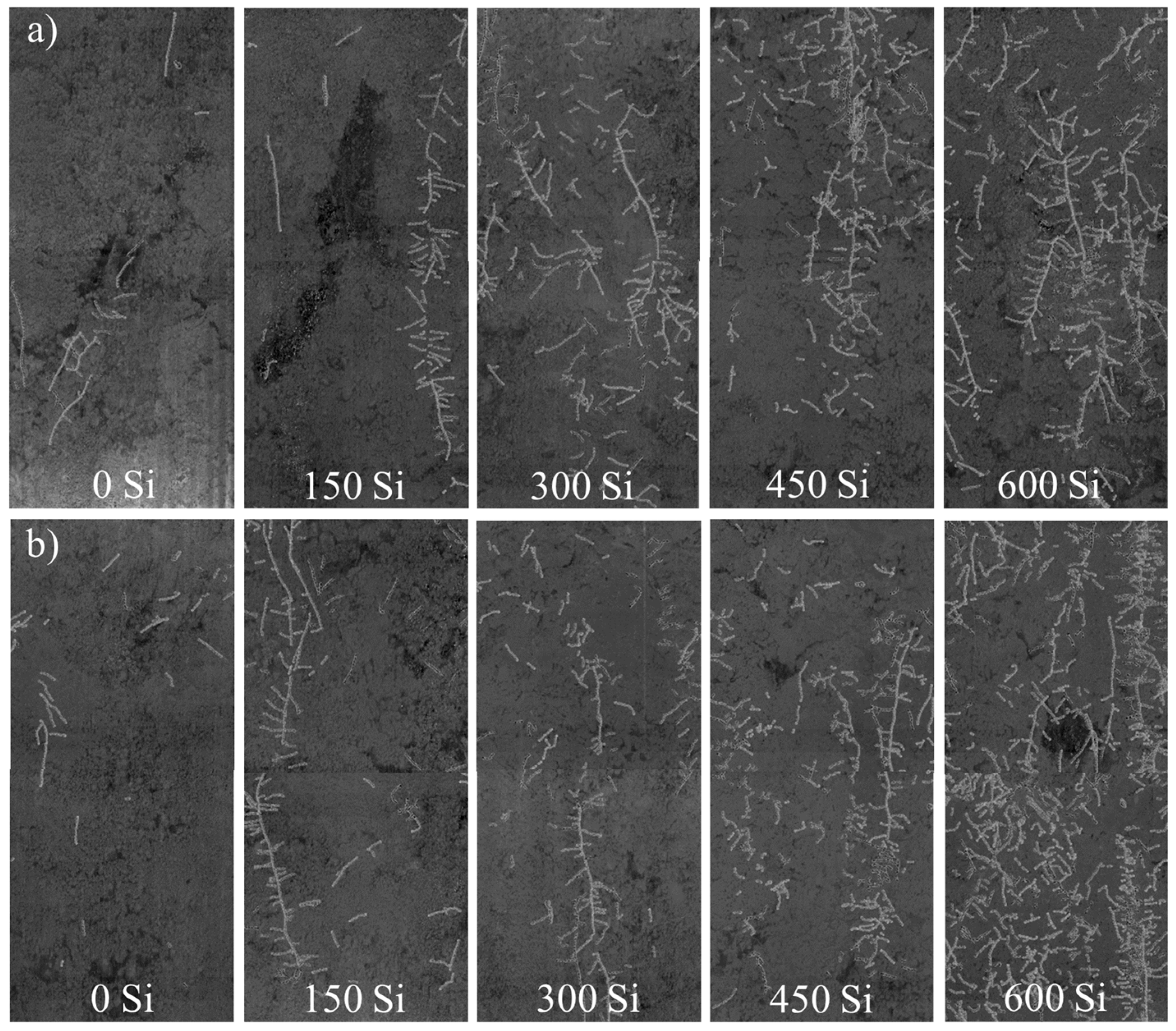 Plants 14 02755 g003