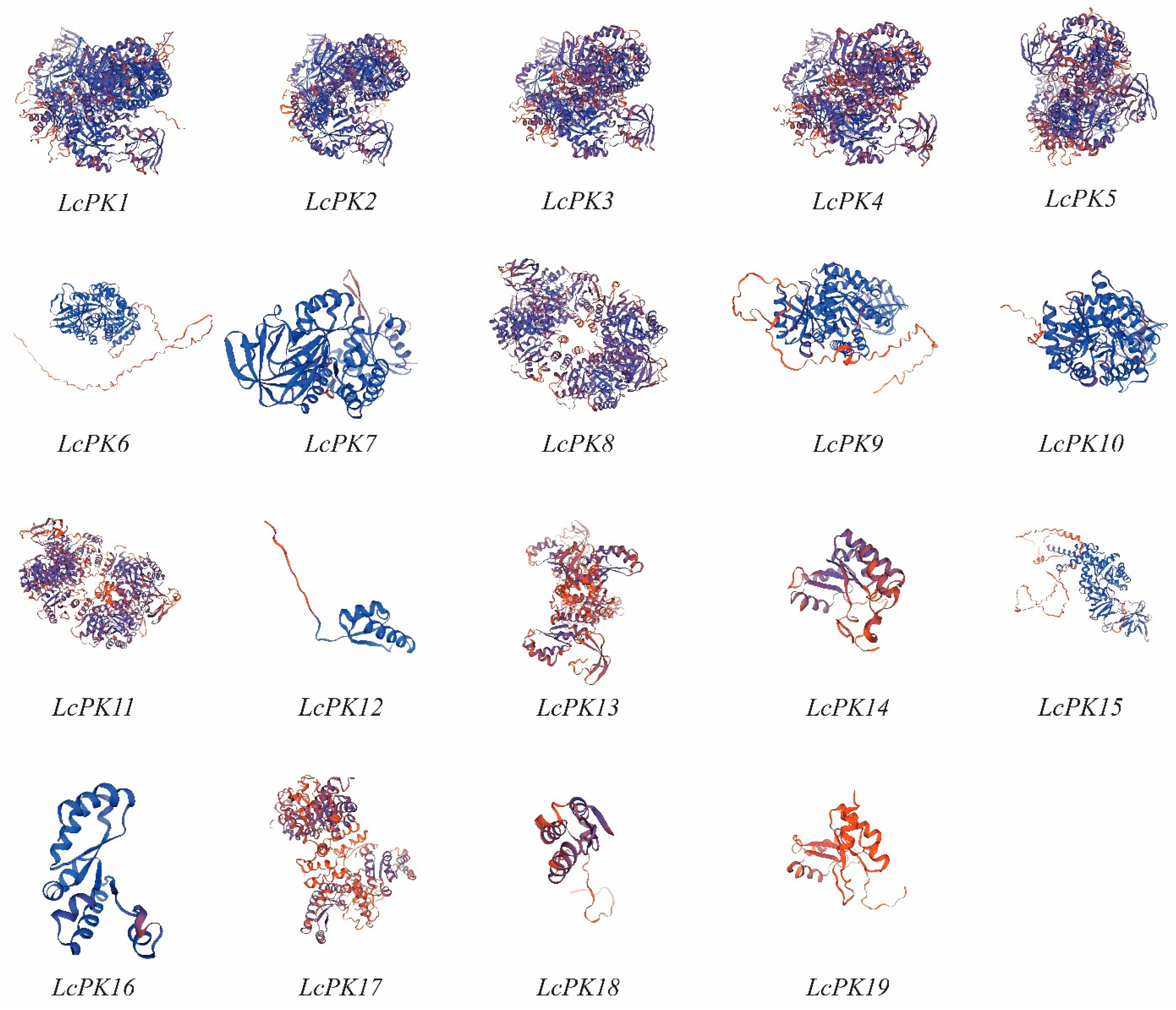 Plants 14 02764 g002