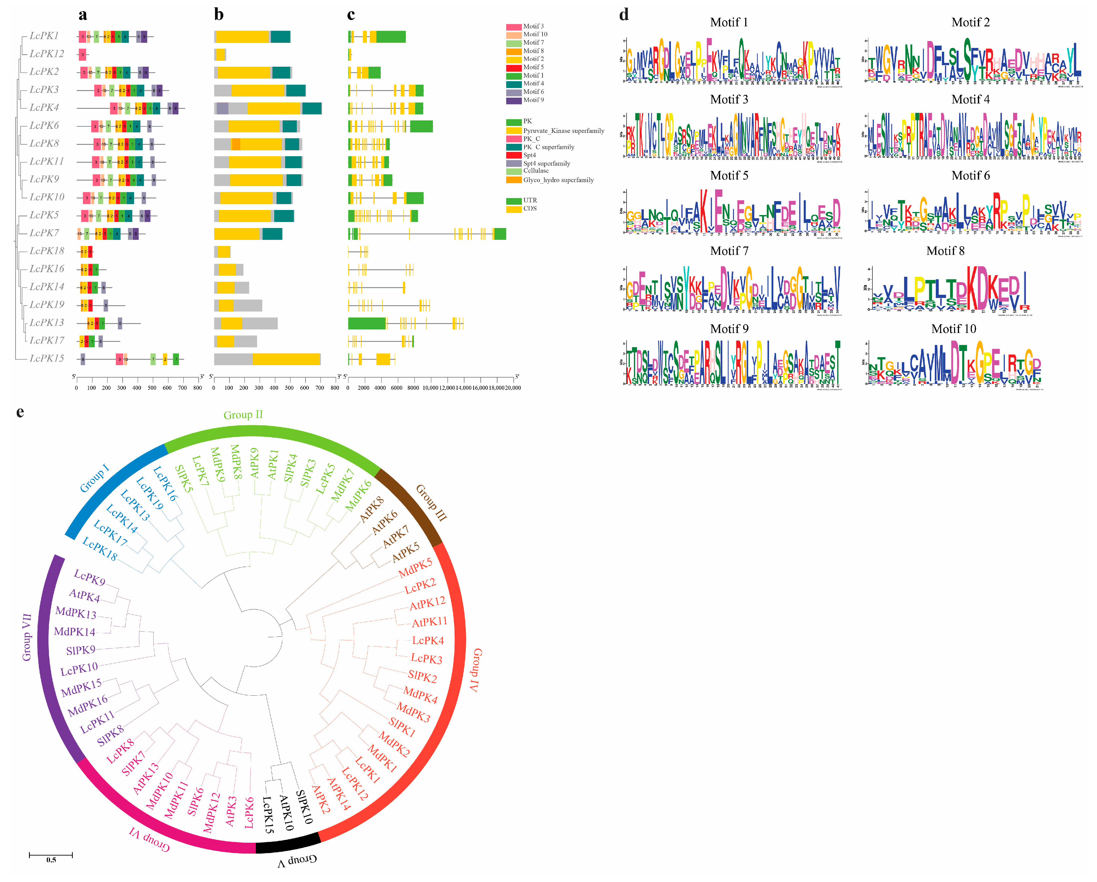 Plants 14 02764 g003