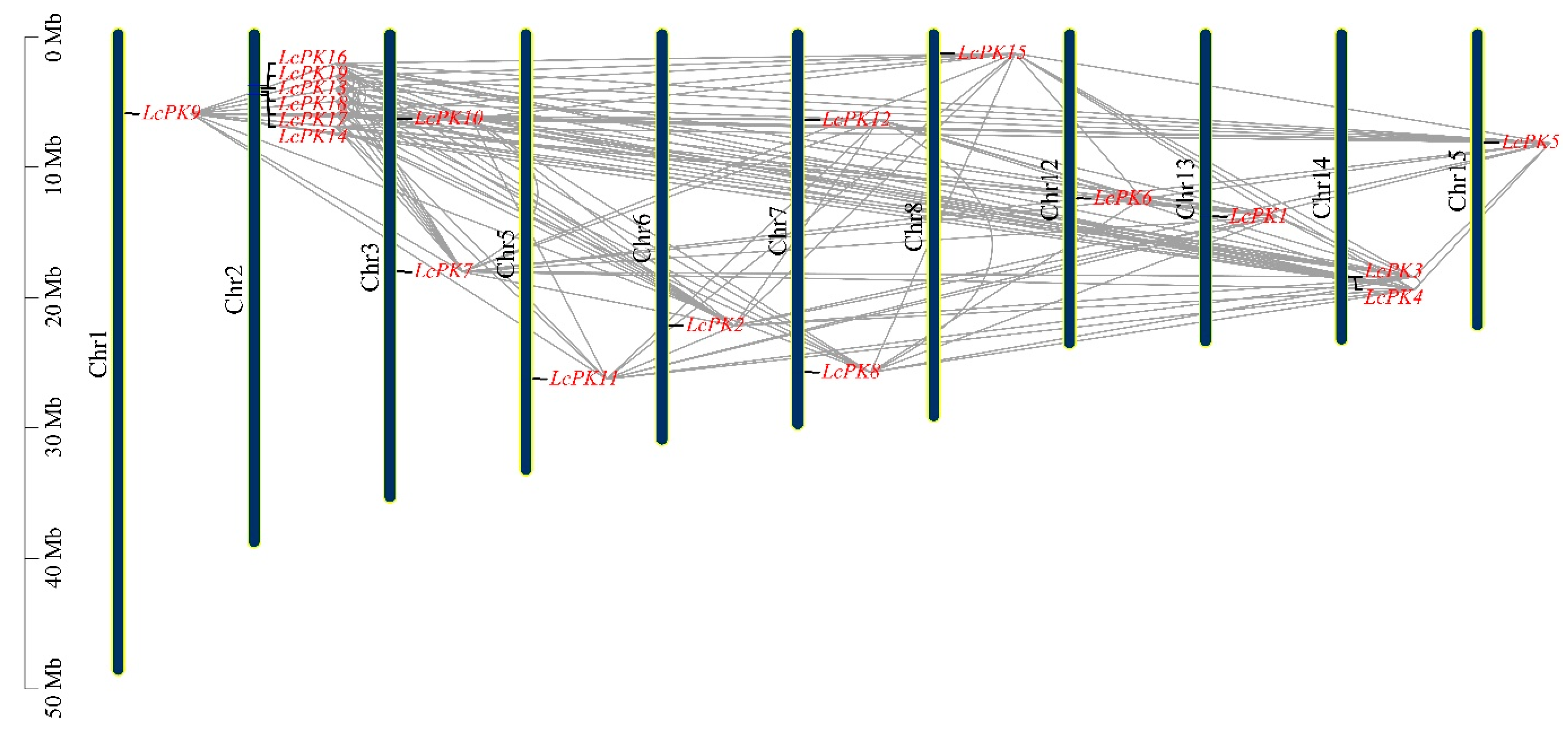 Plants 14 02764 g004