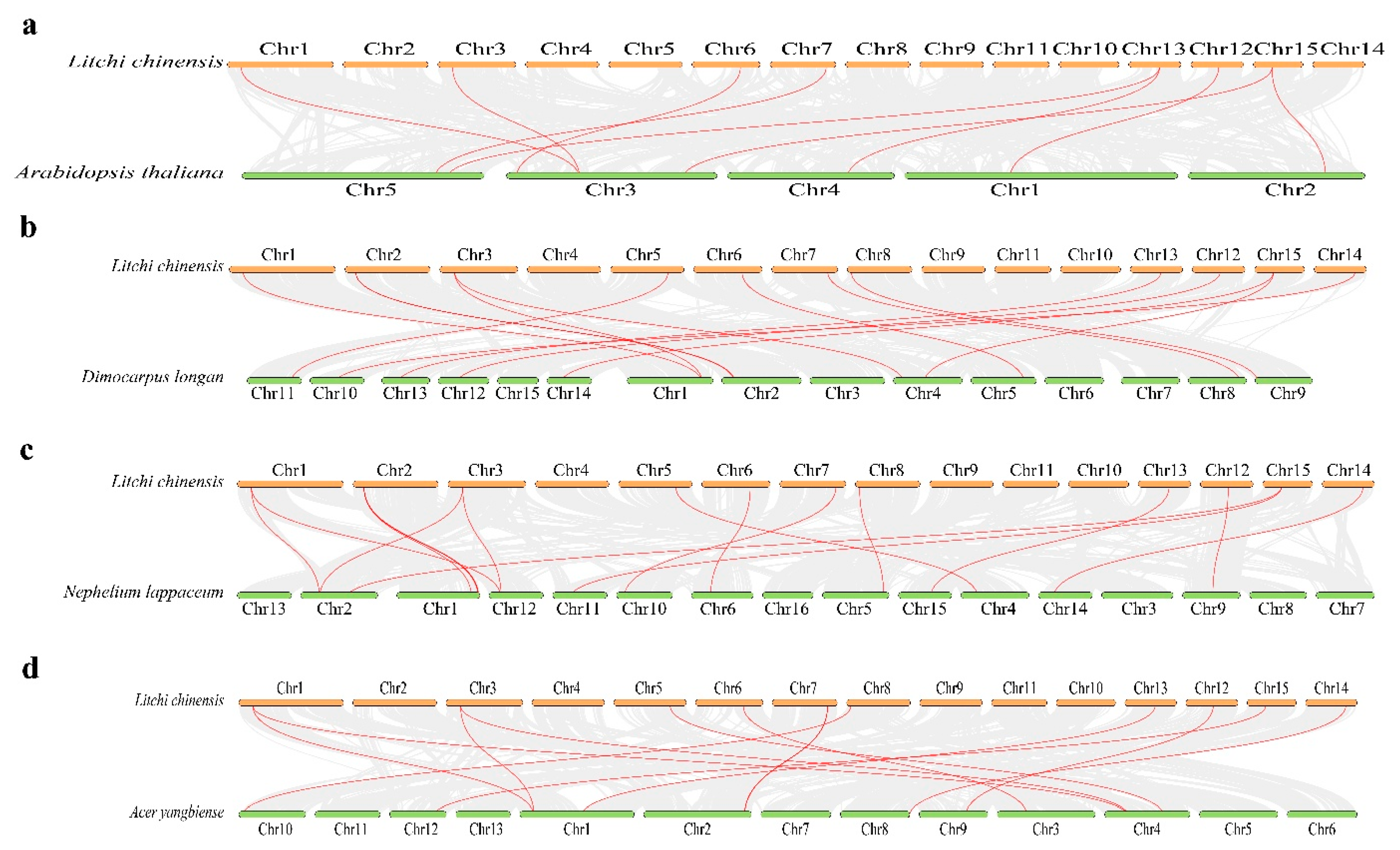 Plants 14 02764 g006
