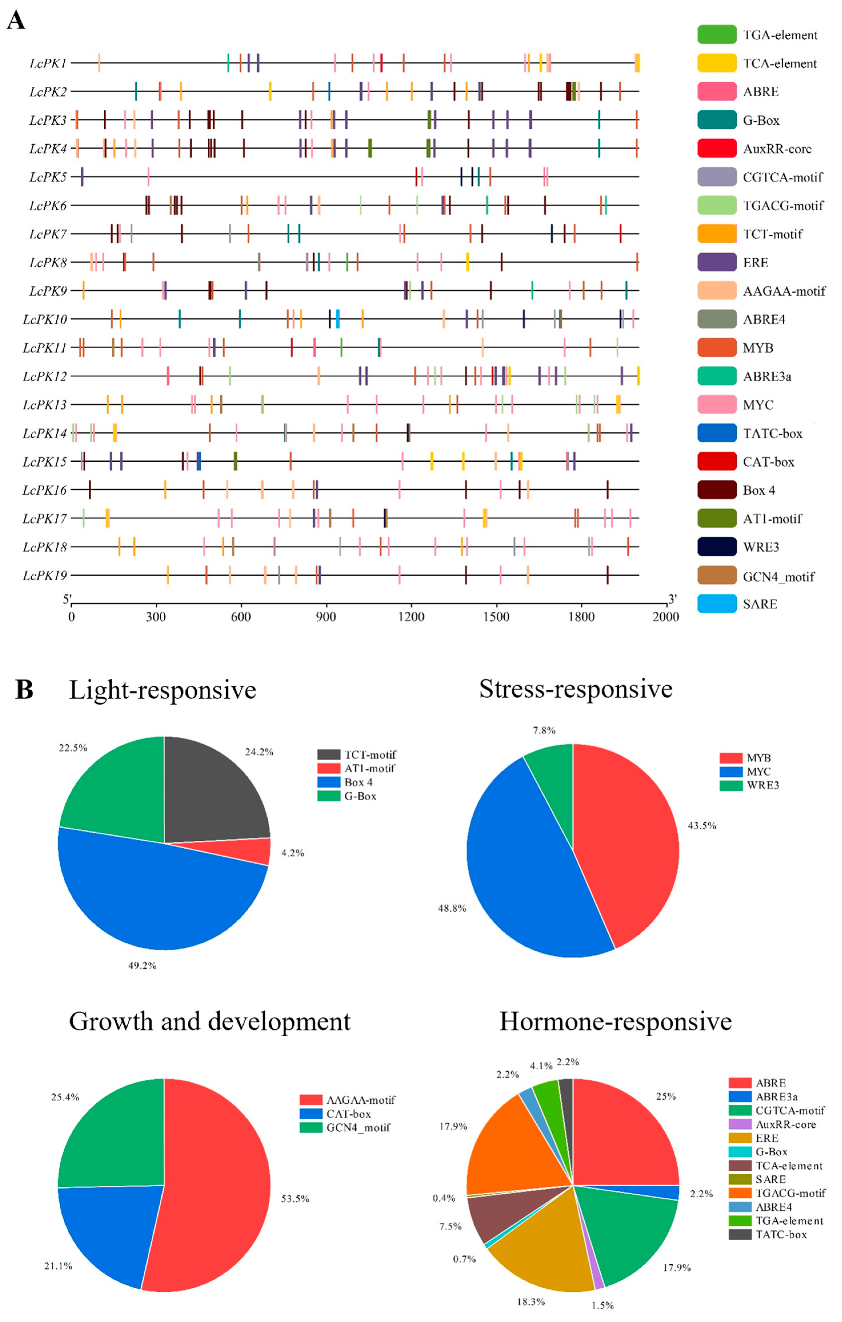 Plants 14 02764 g007