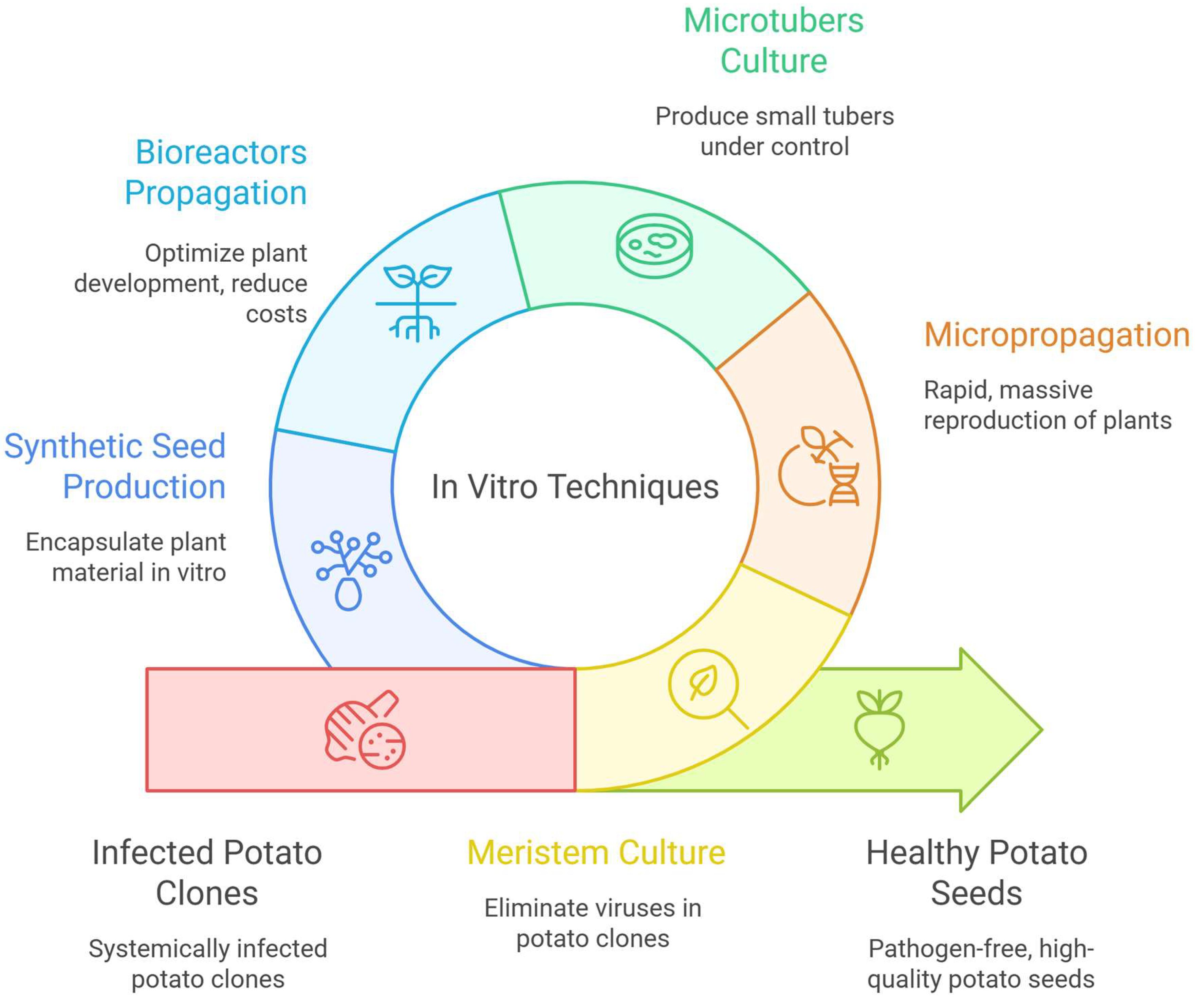 Plants 14 02777 g002