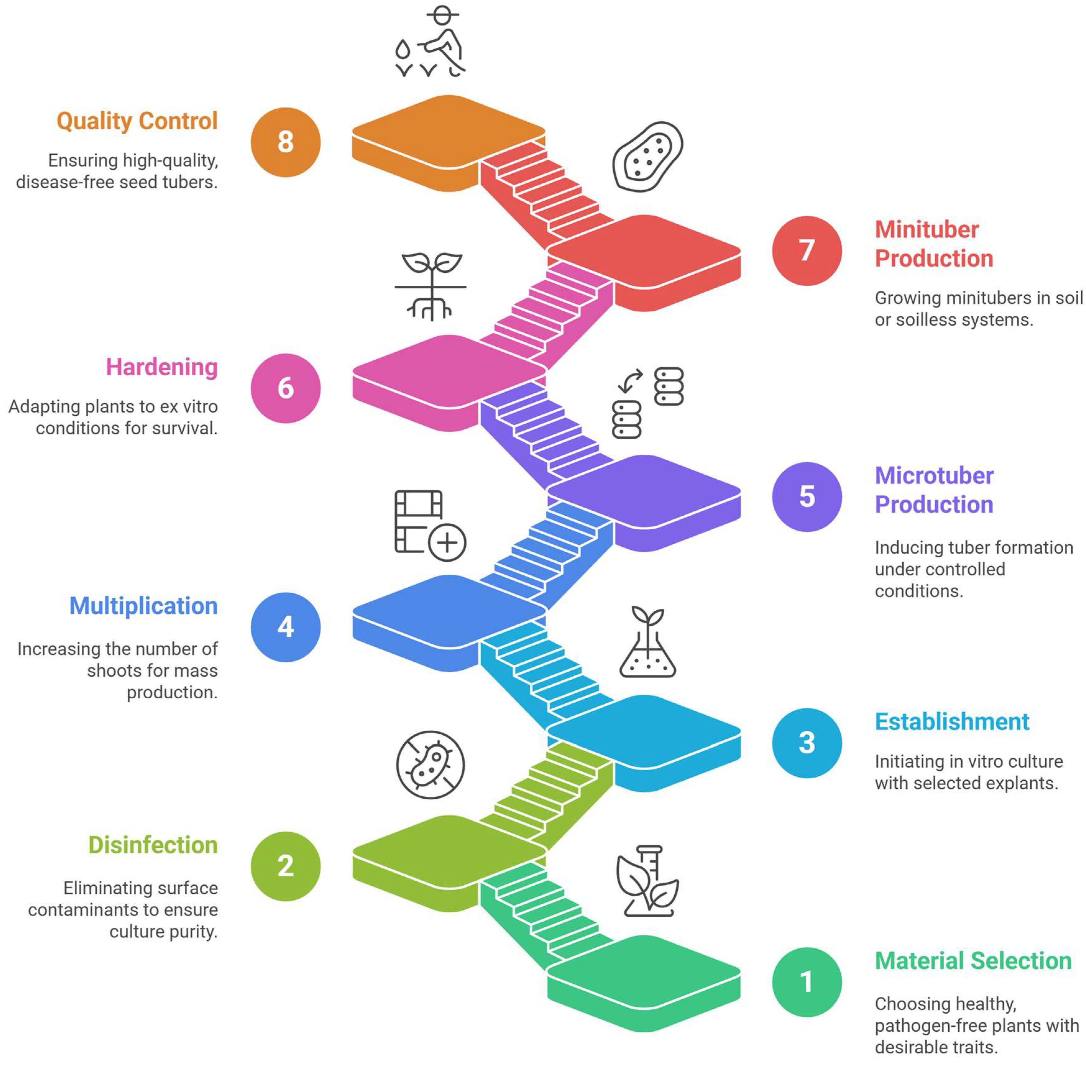 Plants 14 02777 g003