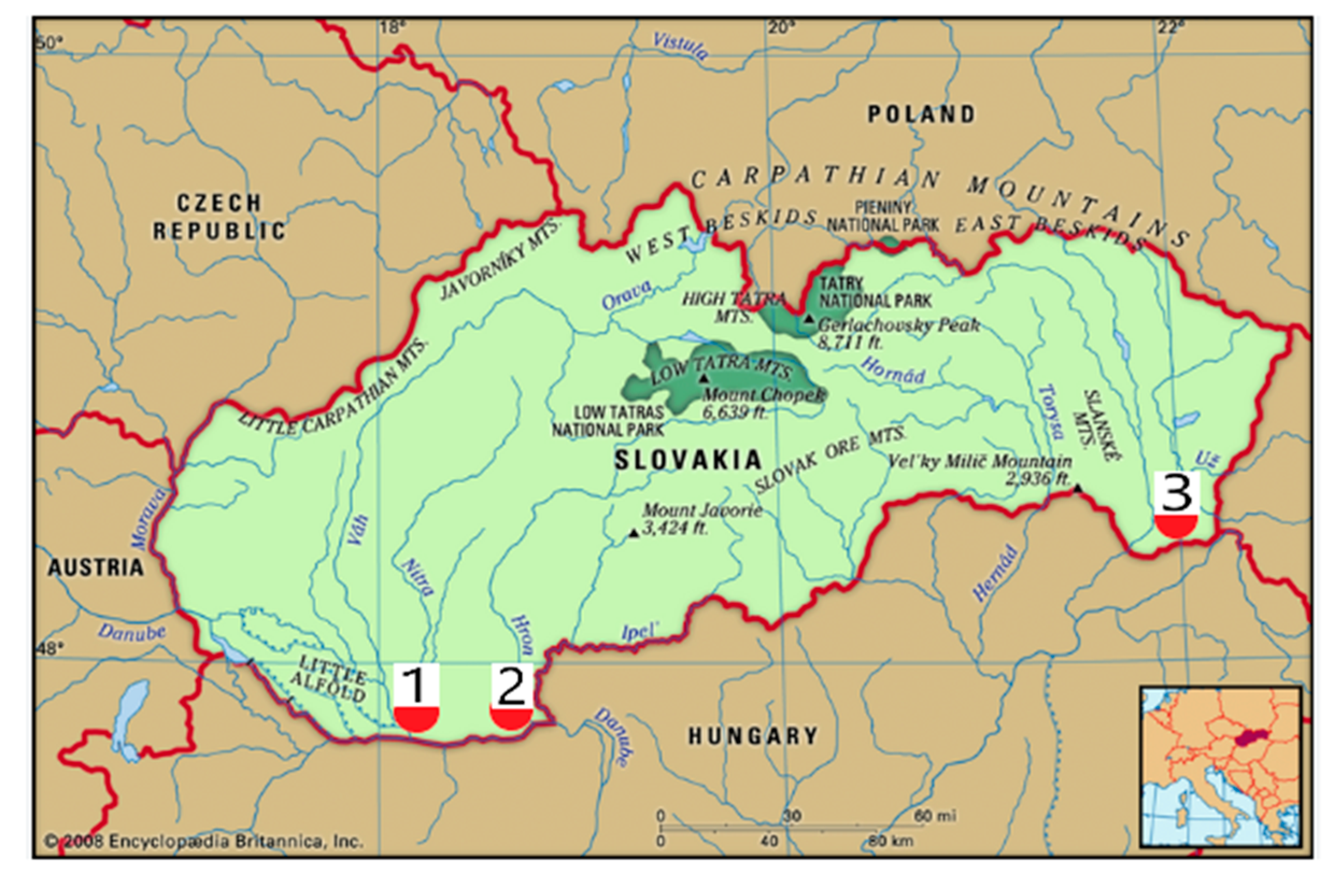 Plants 14 02790 g011