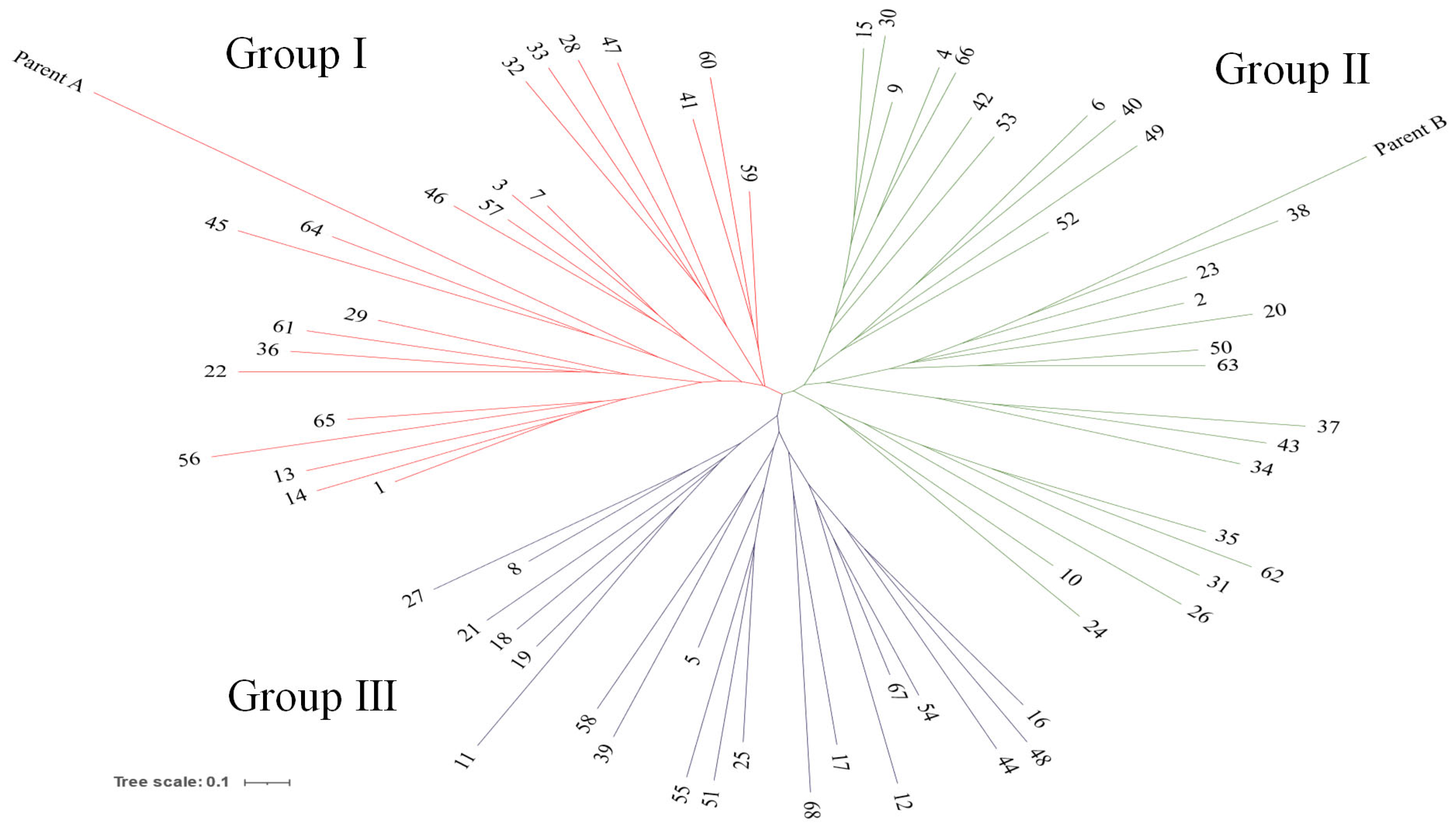 Plants 14 02799 g003