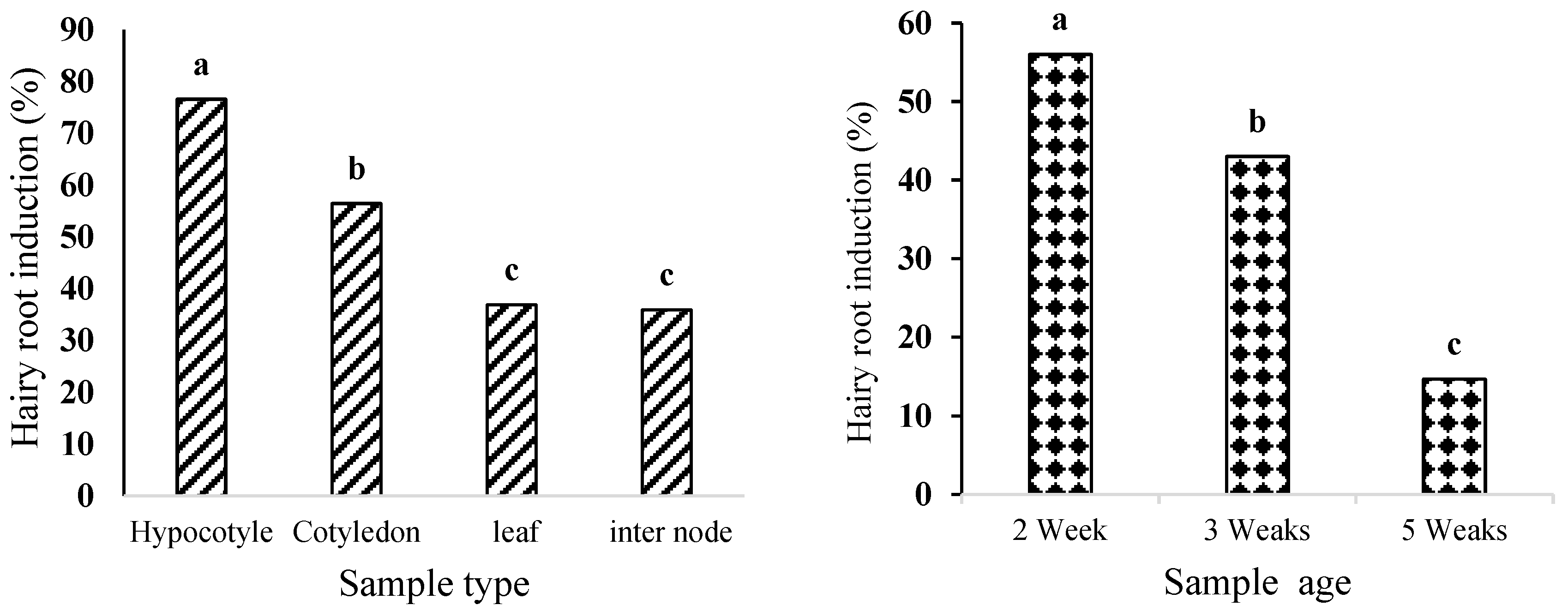 Plants 14 02809 g003 Plants 14 02809 g003