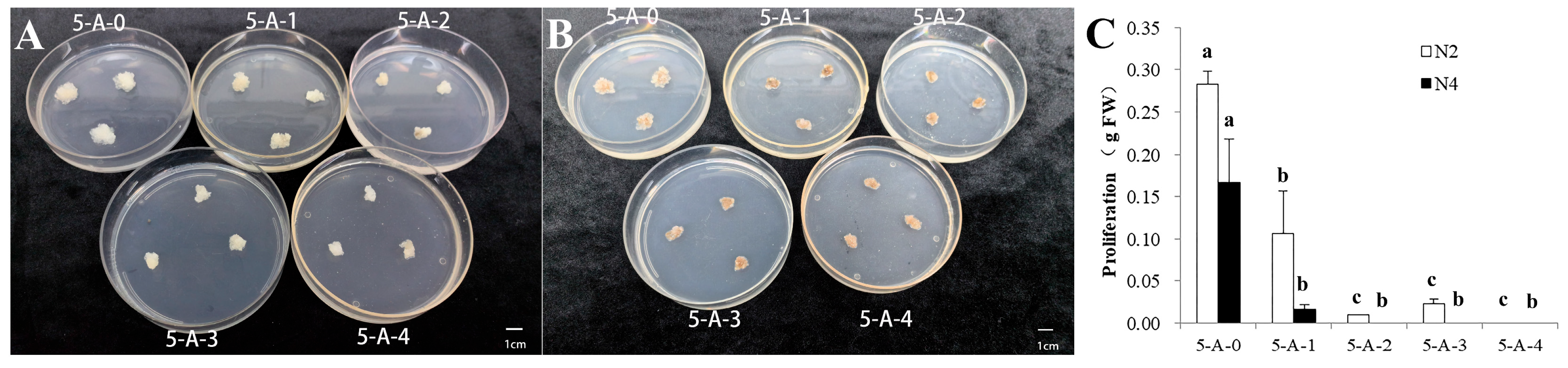 Plants 14 02818 g003 Plants 14 02818 g003