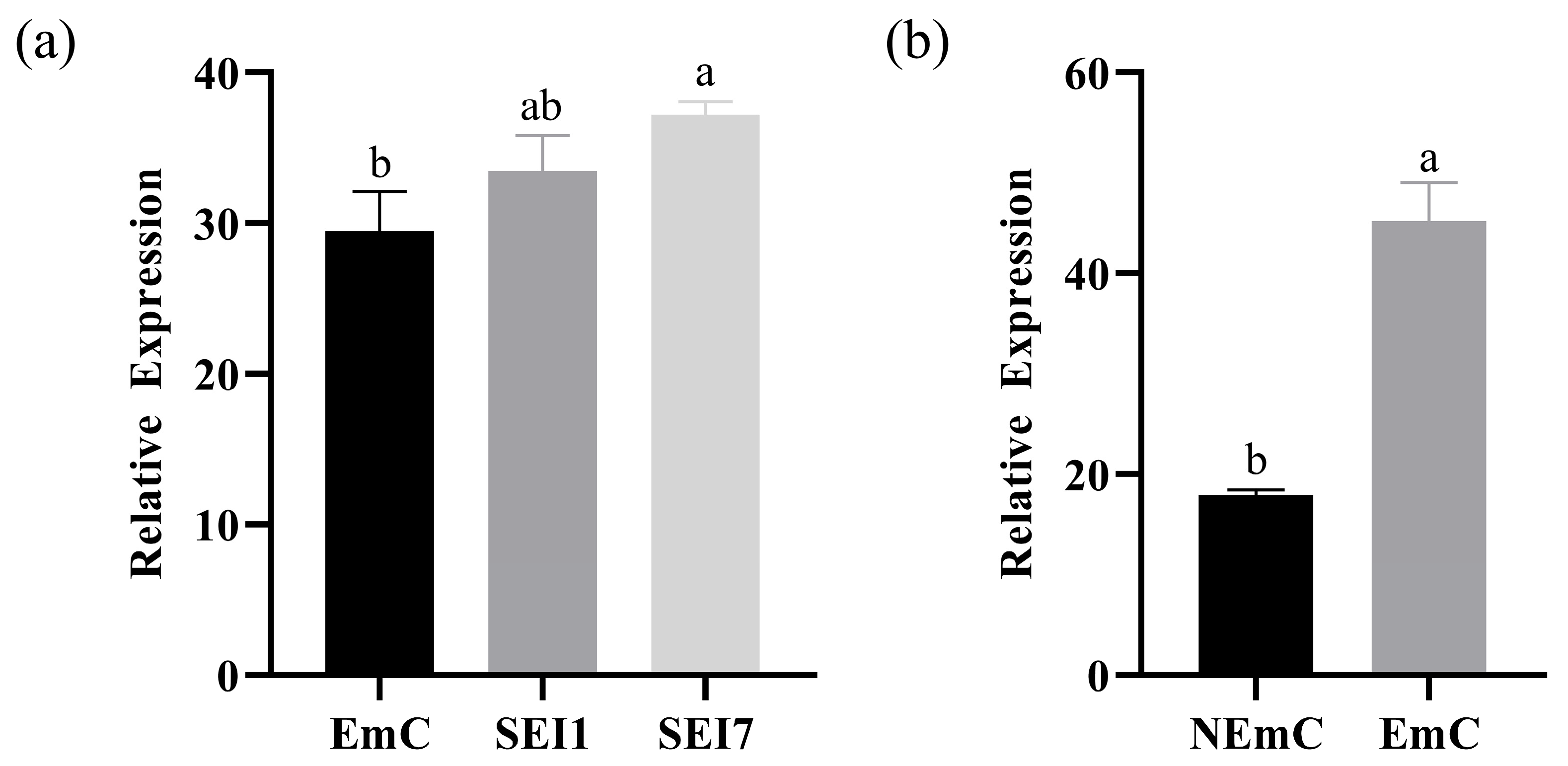Plants 14 02823 g007
