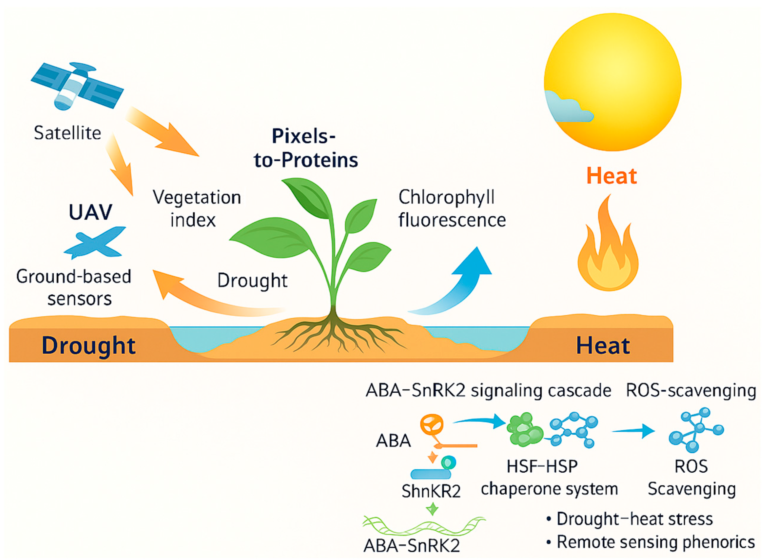 Plants 14 02829 g001