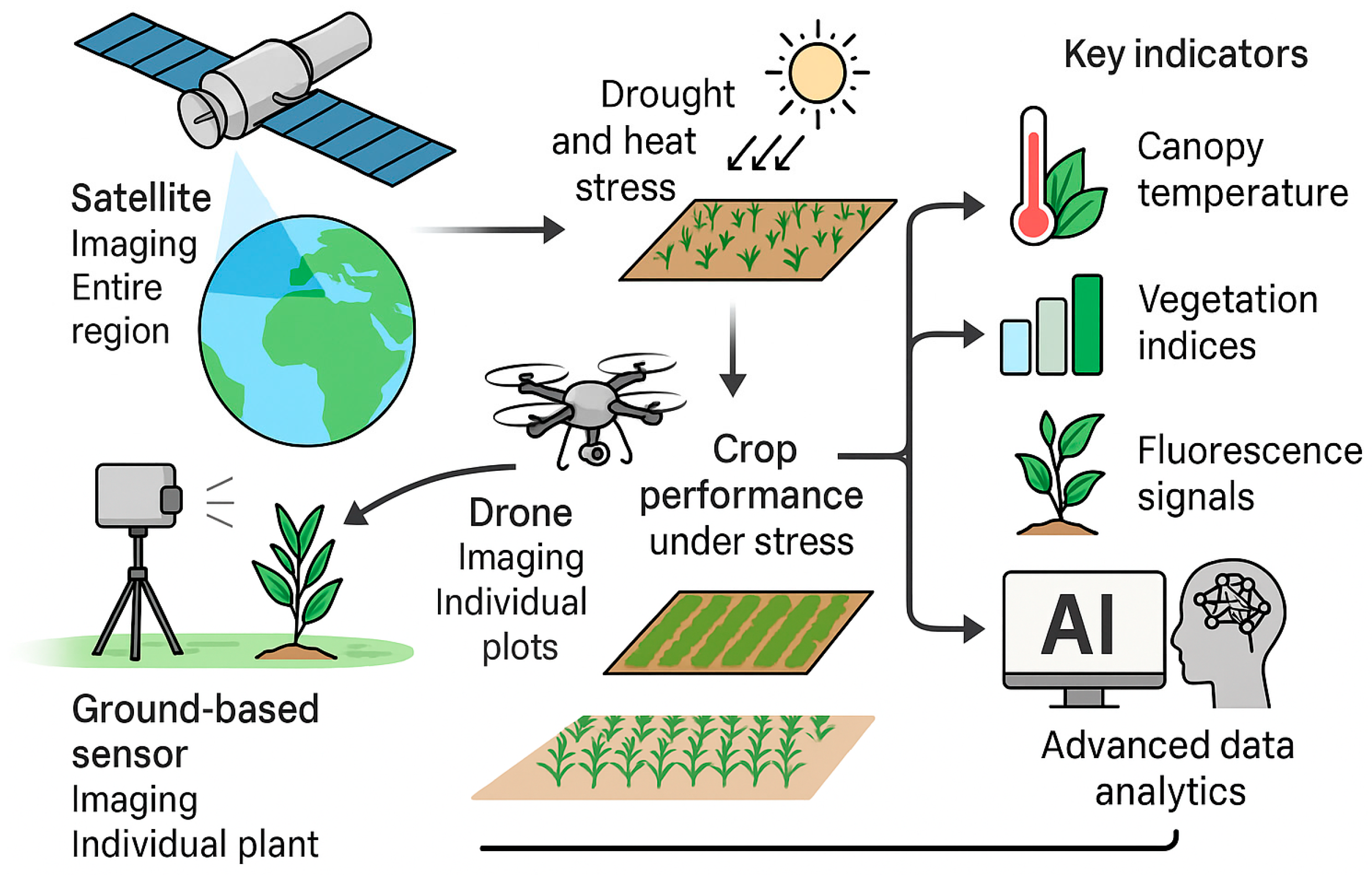 Plants 14 02829 g002