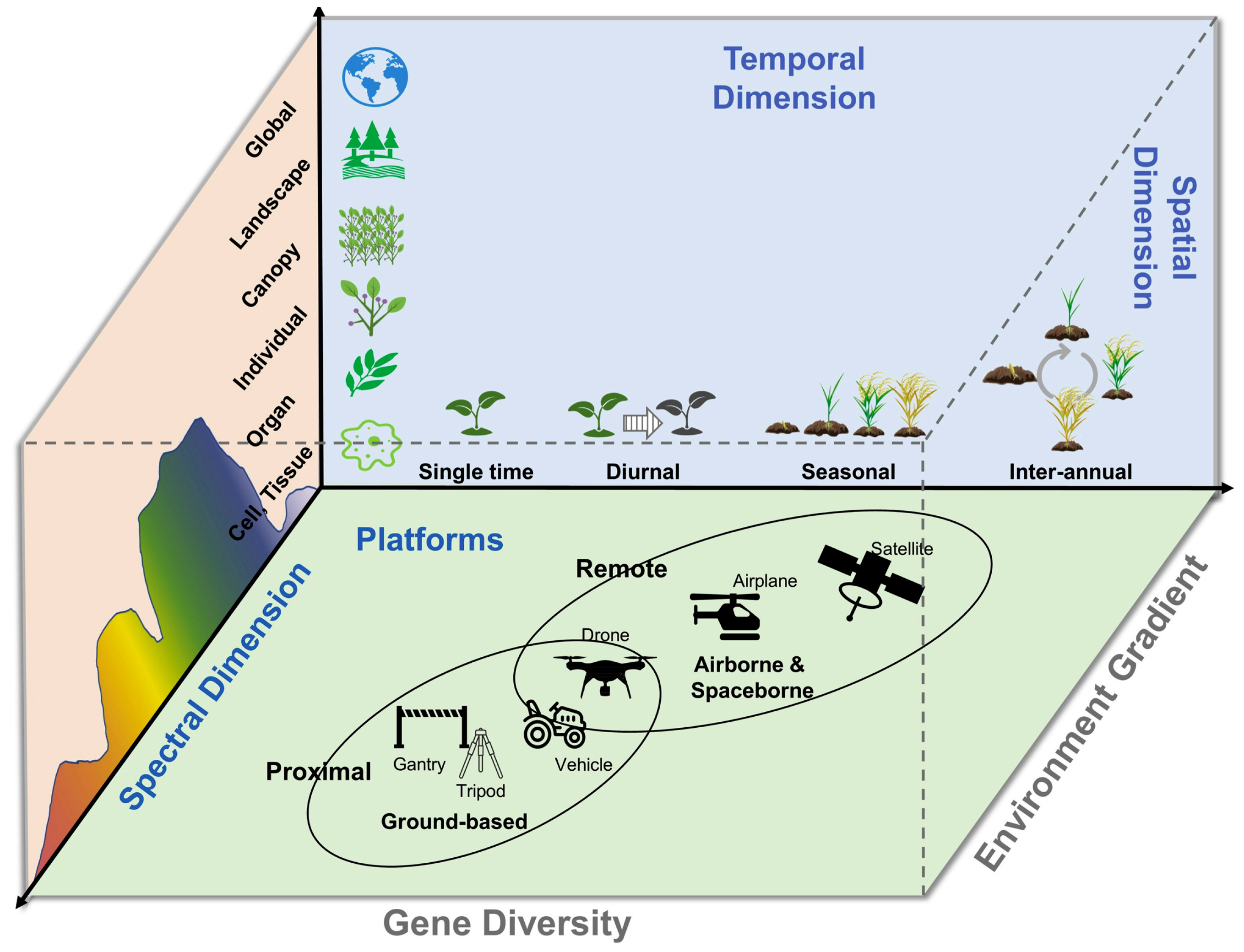 Plants 14 02829 g003