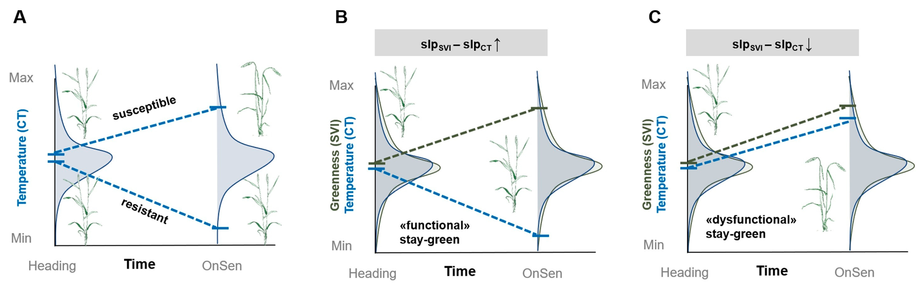 Plants 14 02829 g004