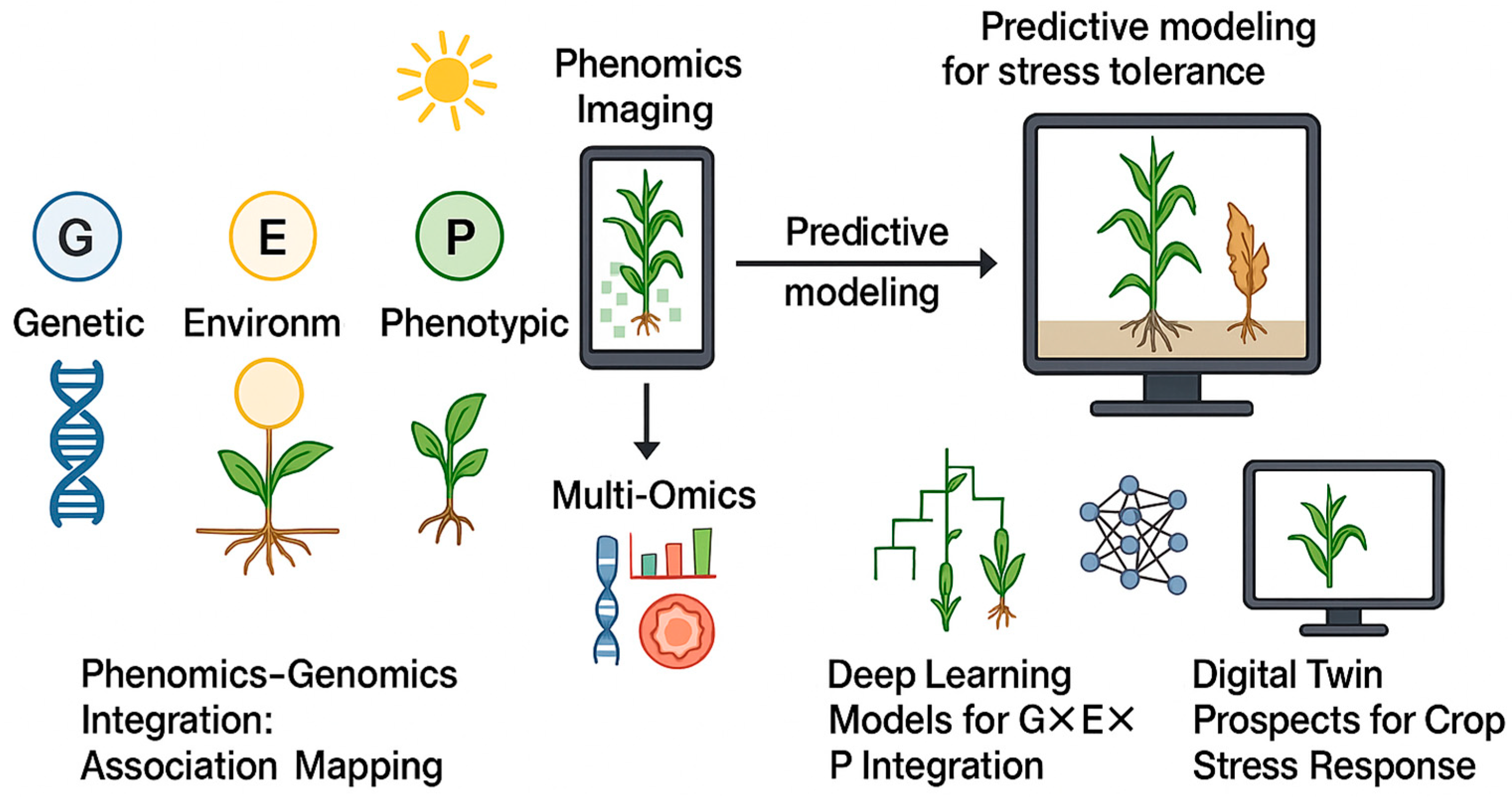 Plants 14 02829 g006