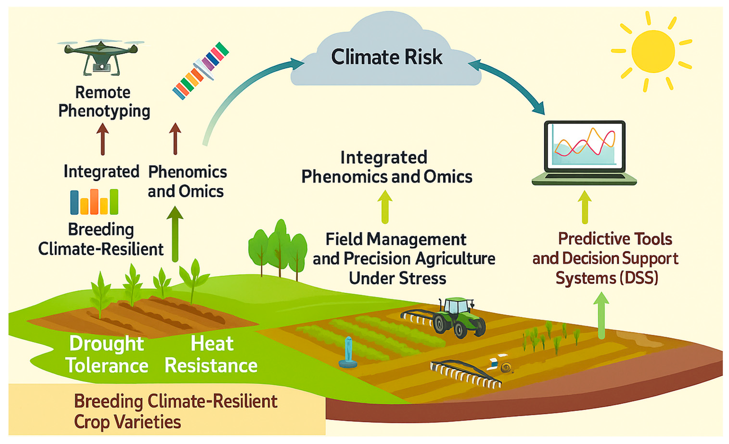 Plants 14 02829 g007