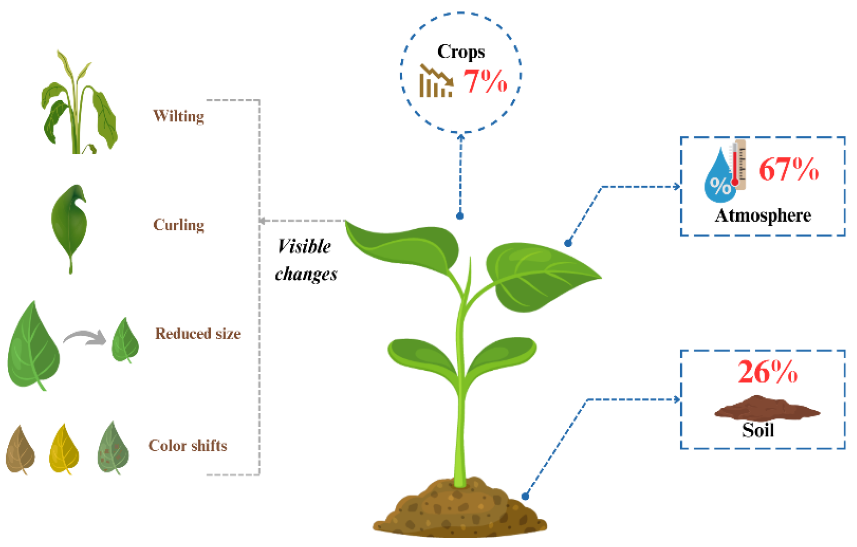 Plants 14 02841 g005