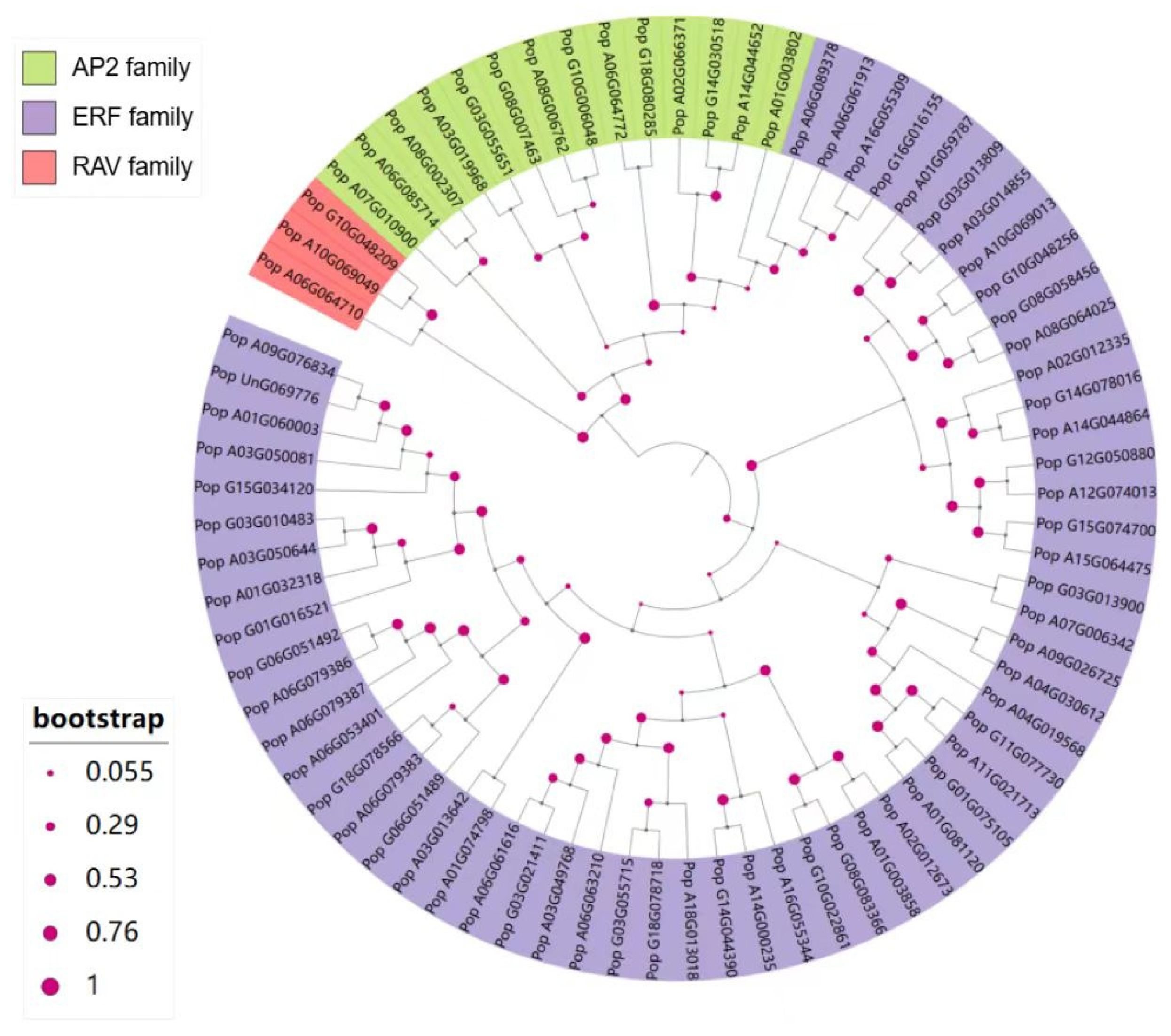 Plants 14 02842 g002