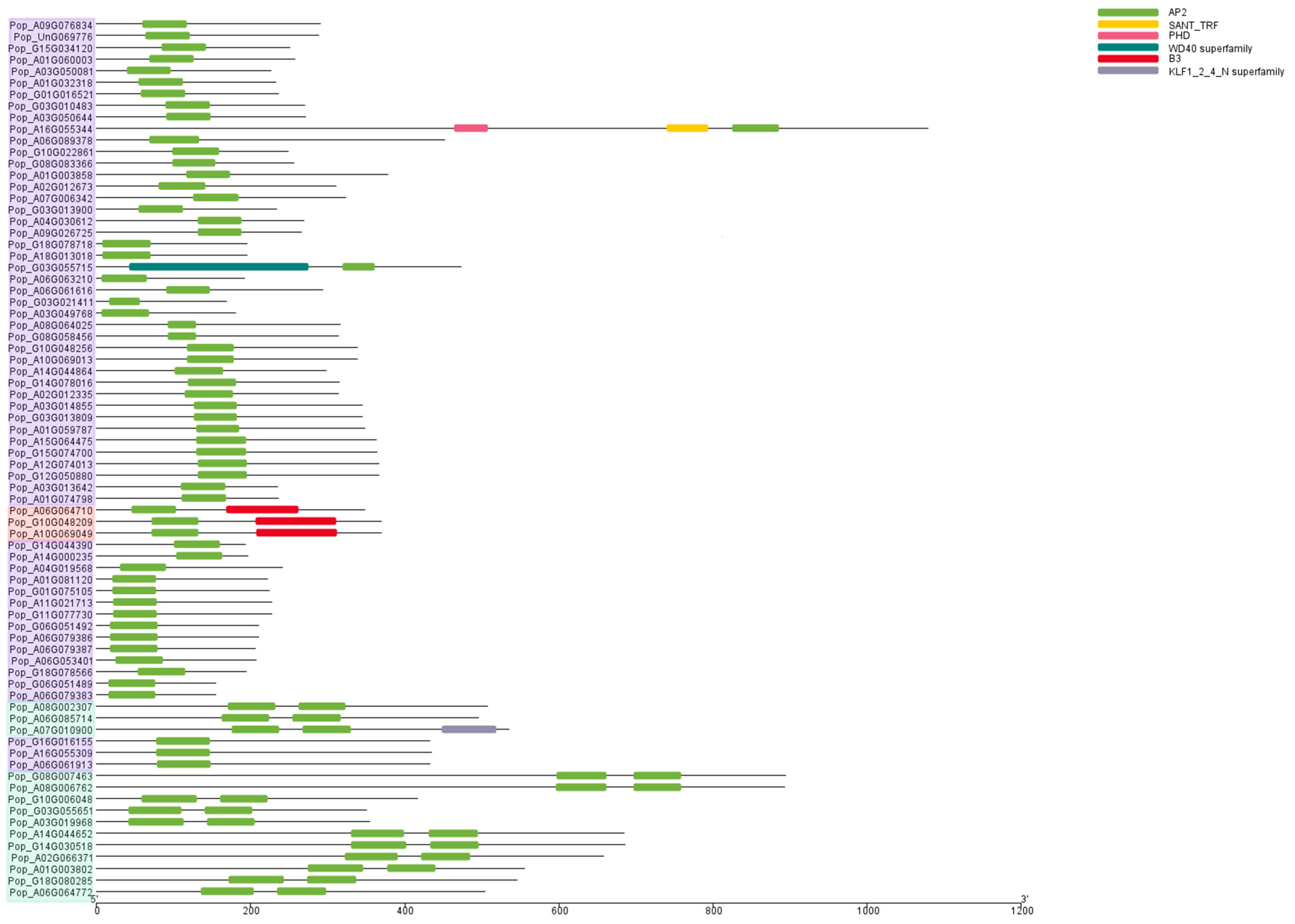 Plants 14 02842 g003