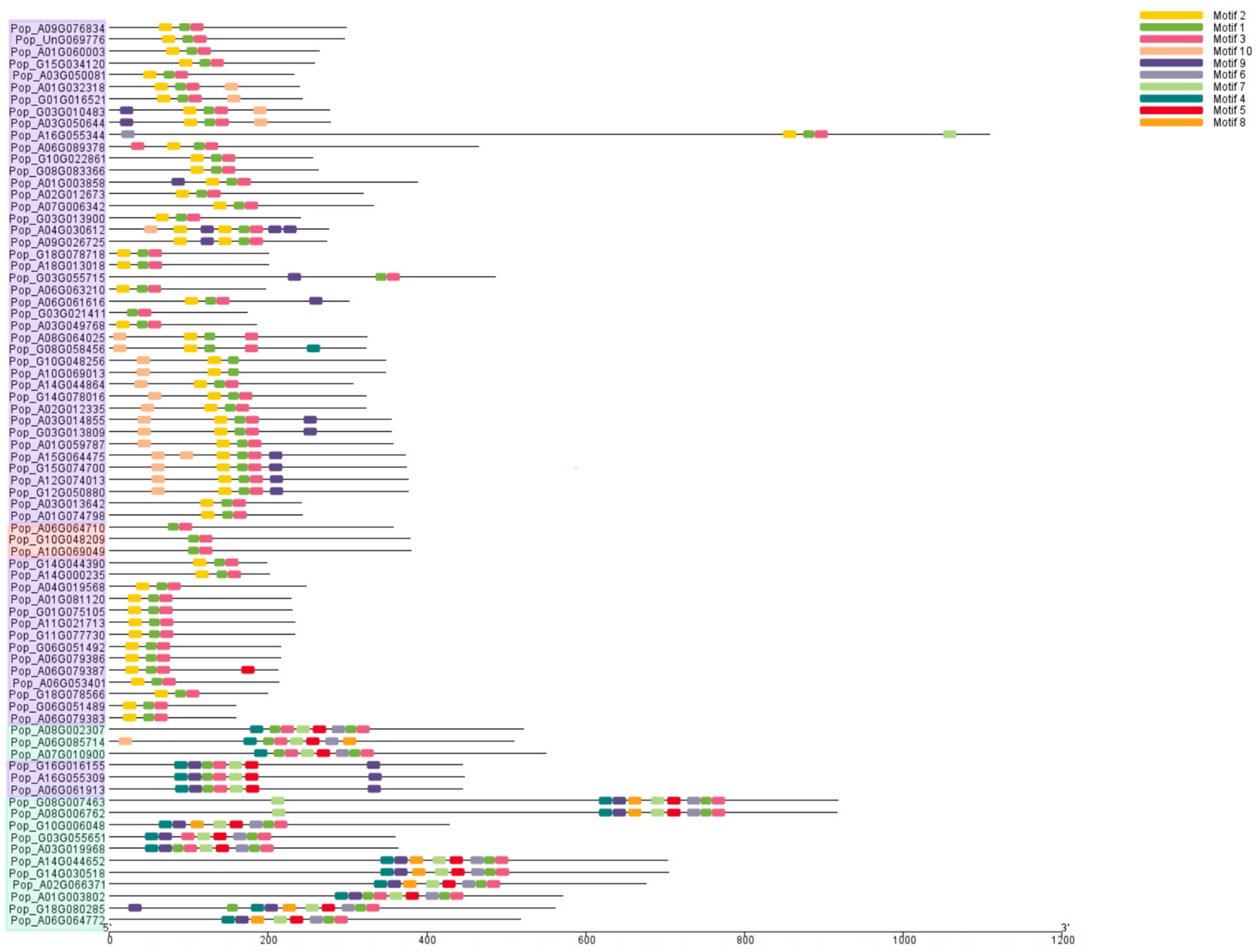 Plants 14 02842 g004