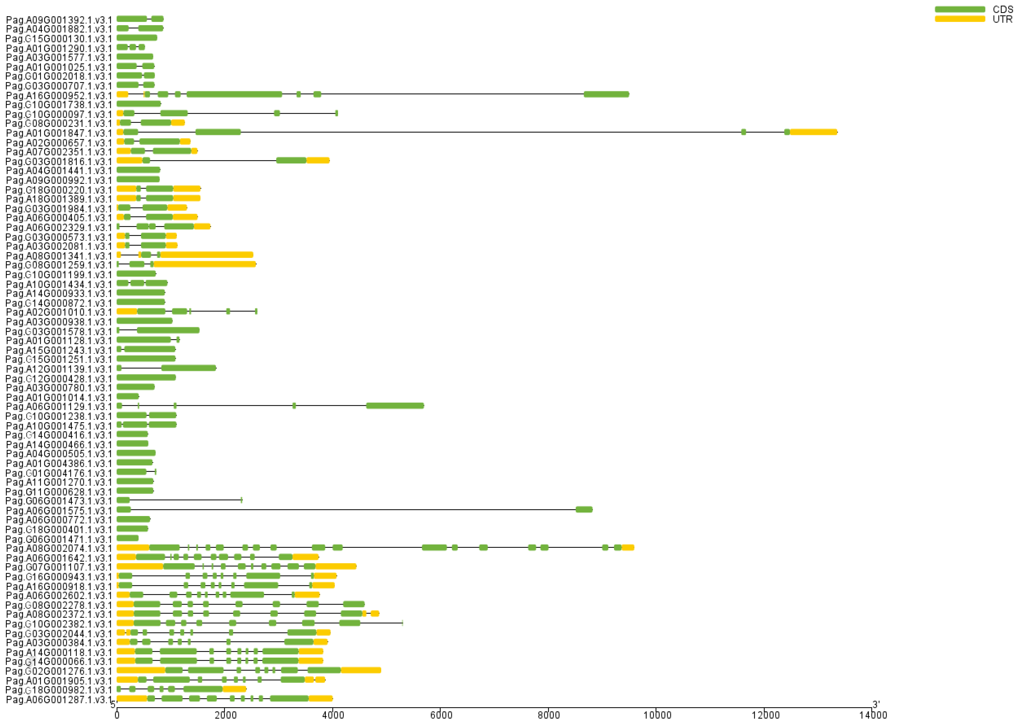 Plants 14 02842 g005