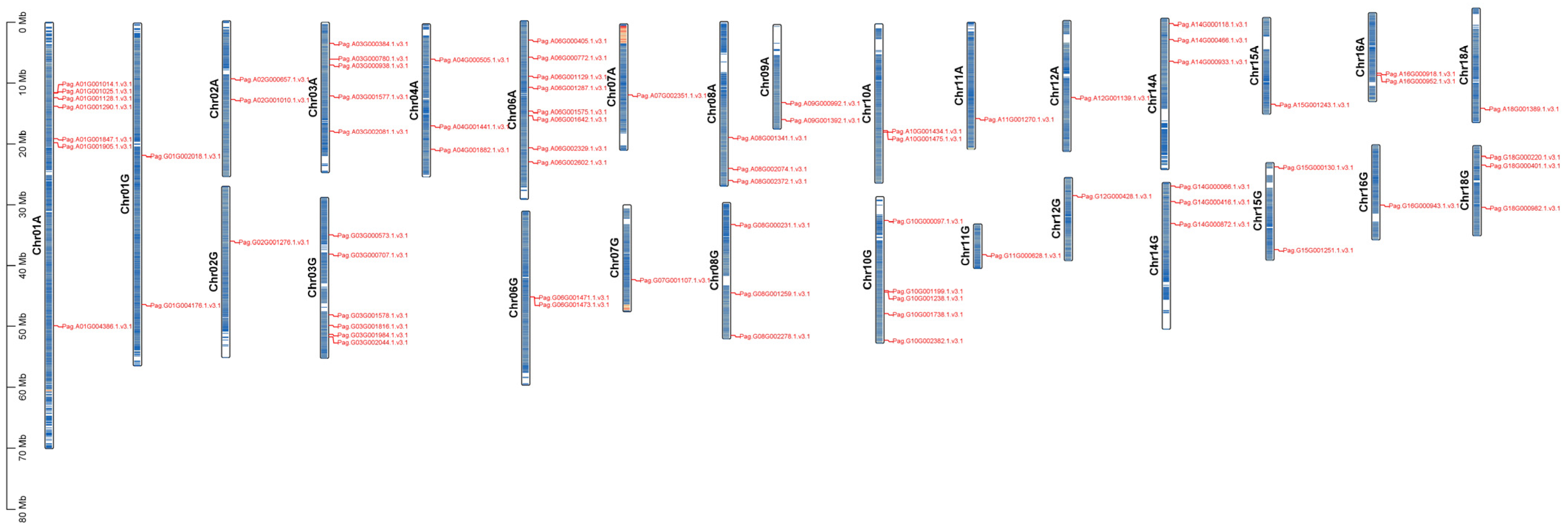 Plants 14 02842 g006