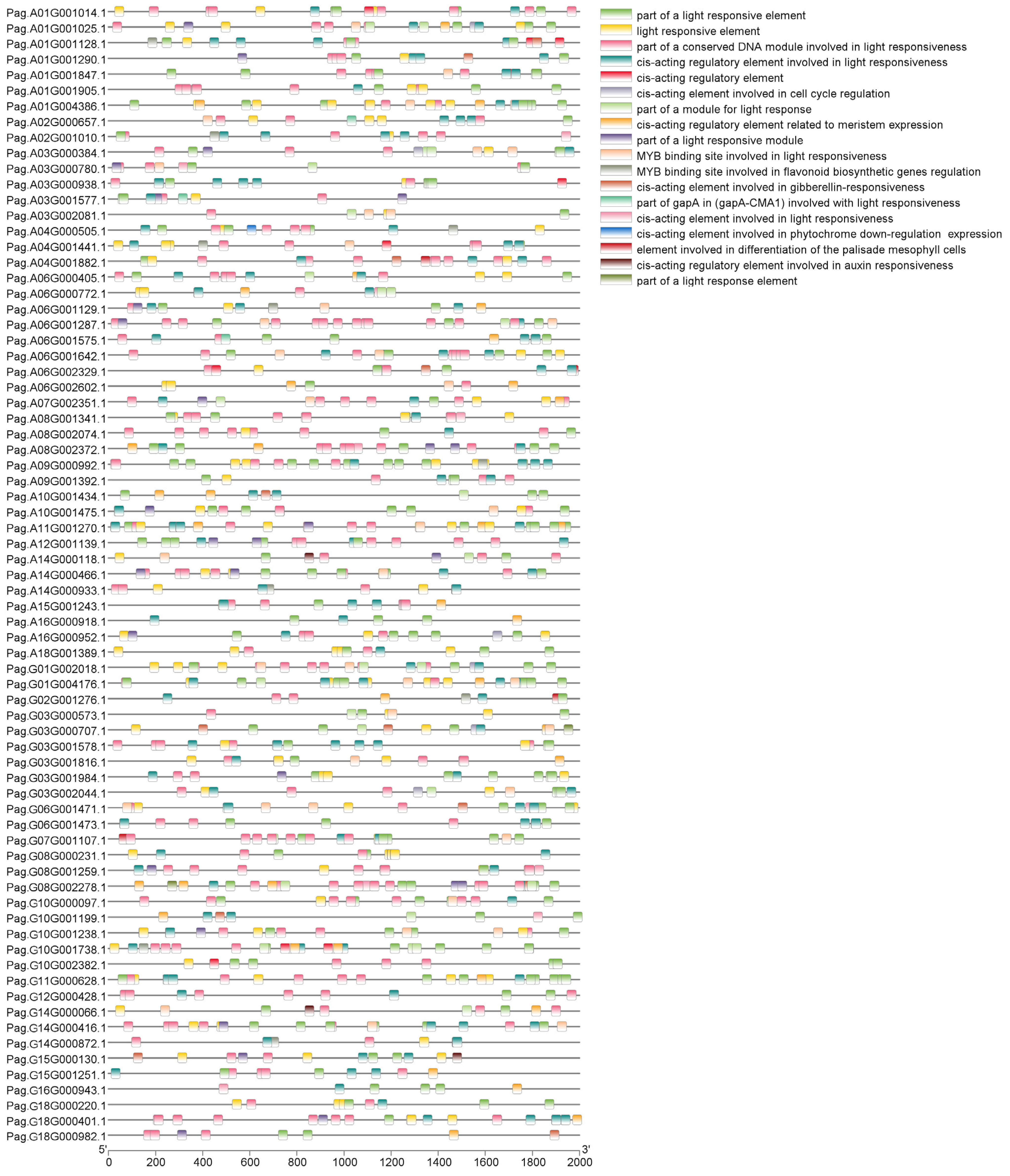 Plants 14 02842 g007