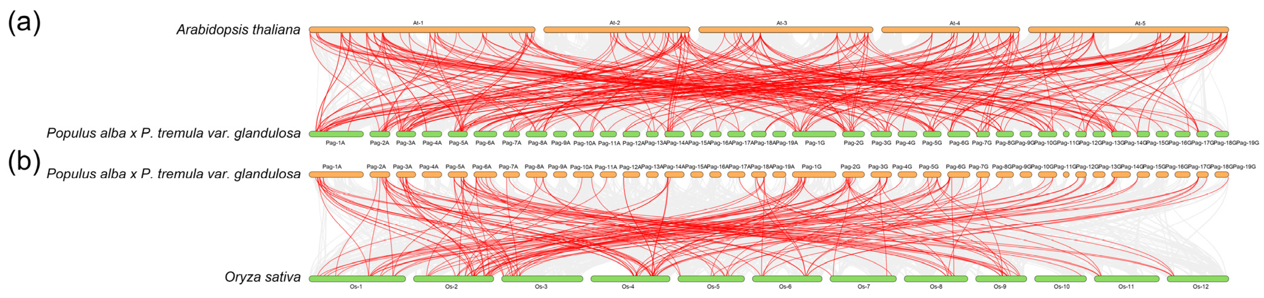 Plants 14 02842 g009