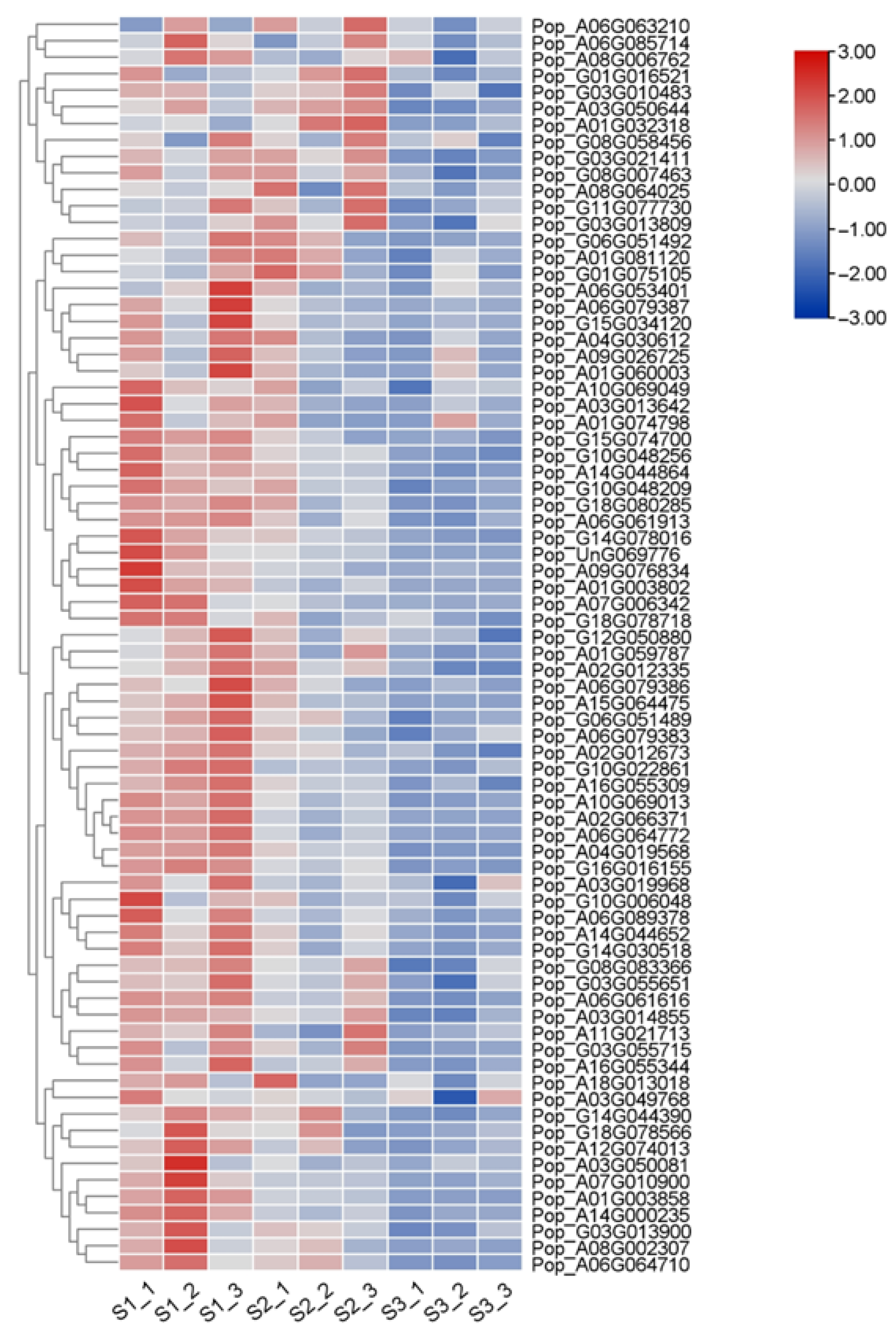 Plants 14 02842 g010