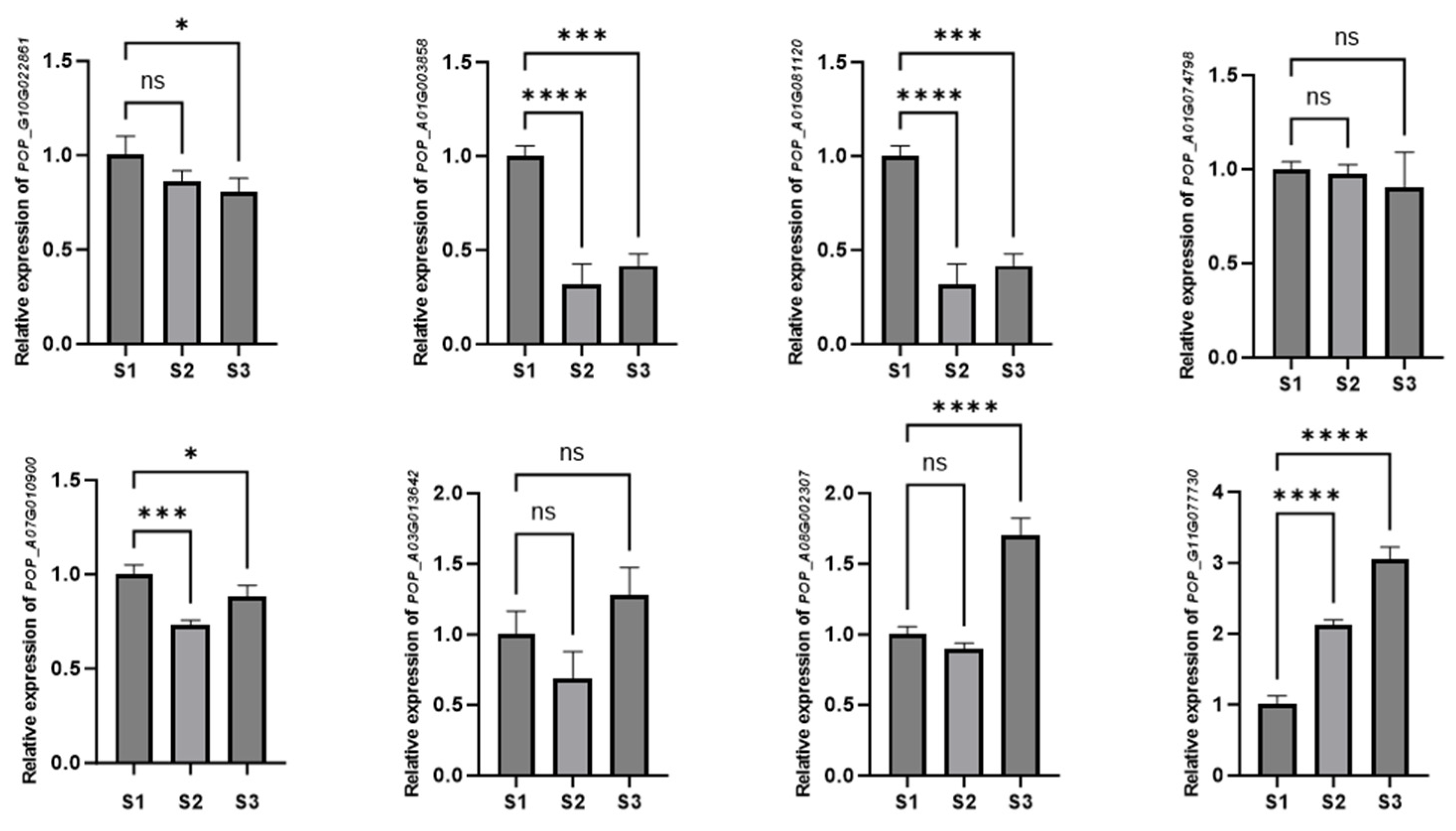Plants 14 02842 g011