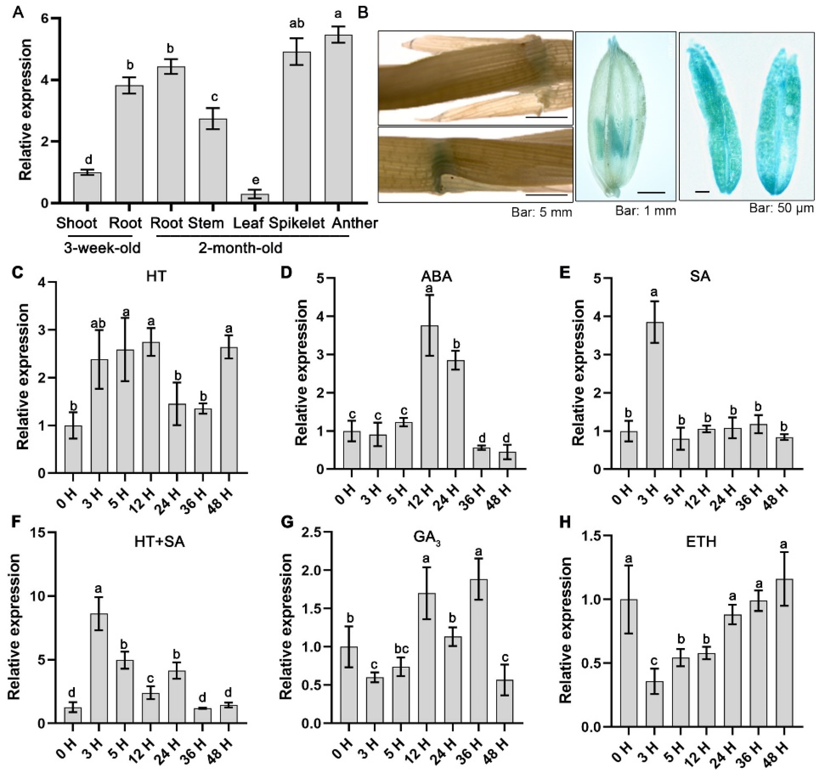 Plants 14 02846 g001