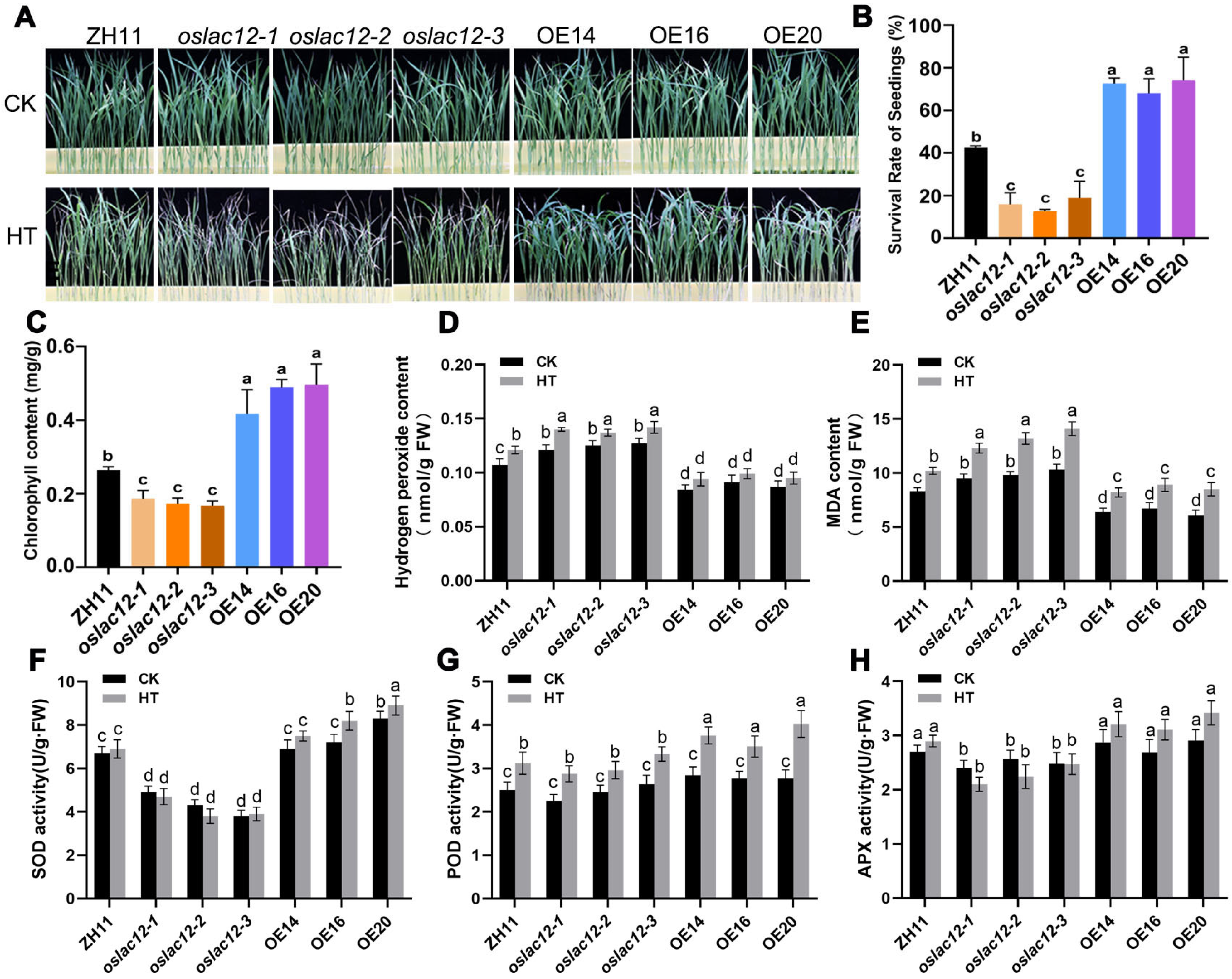 Plants 14 02846 g003