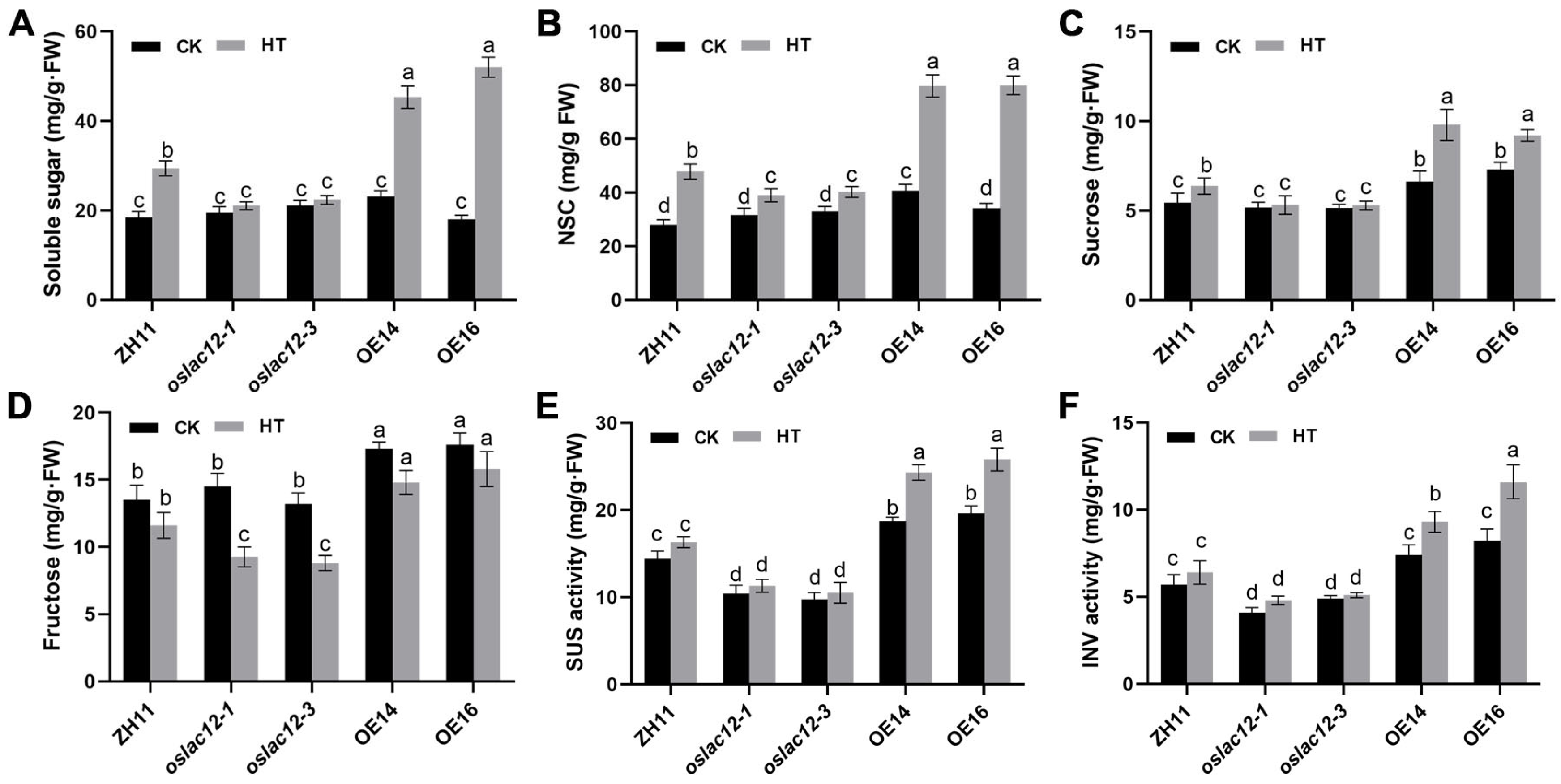 Plants 14 02846 g005