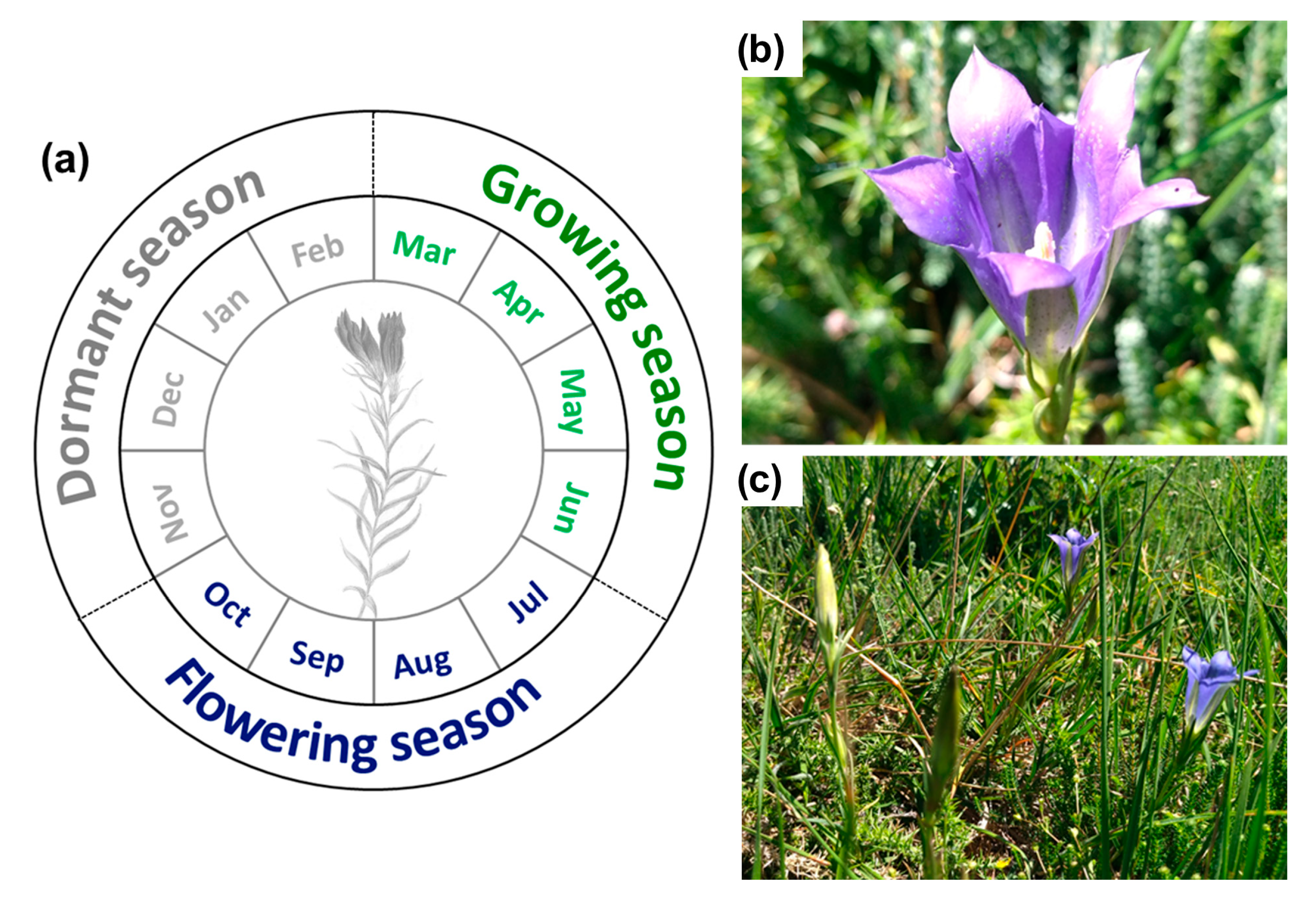 Plants 14 02857 g005