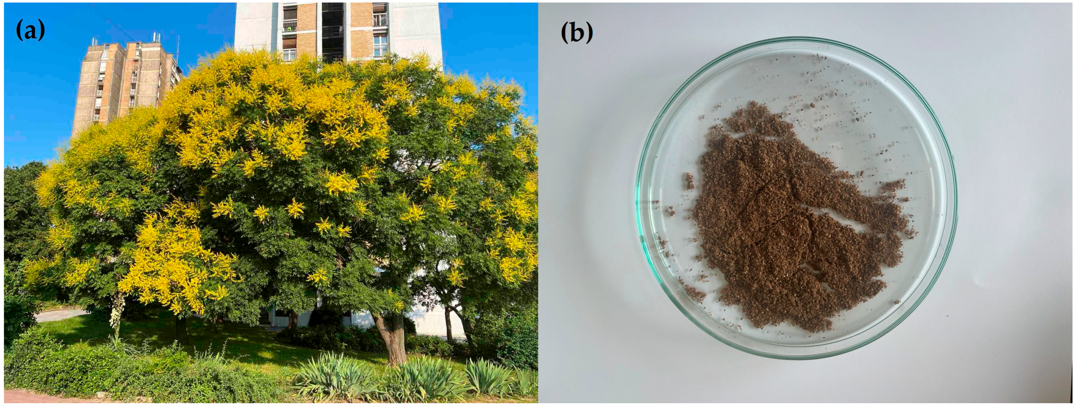 Plants 14 02873 g004